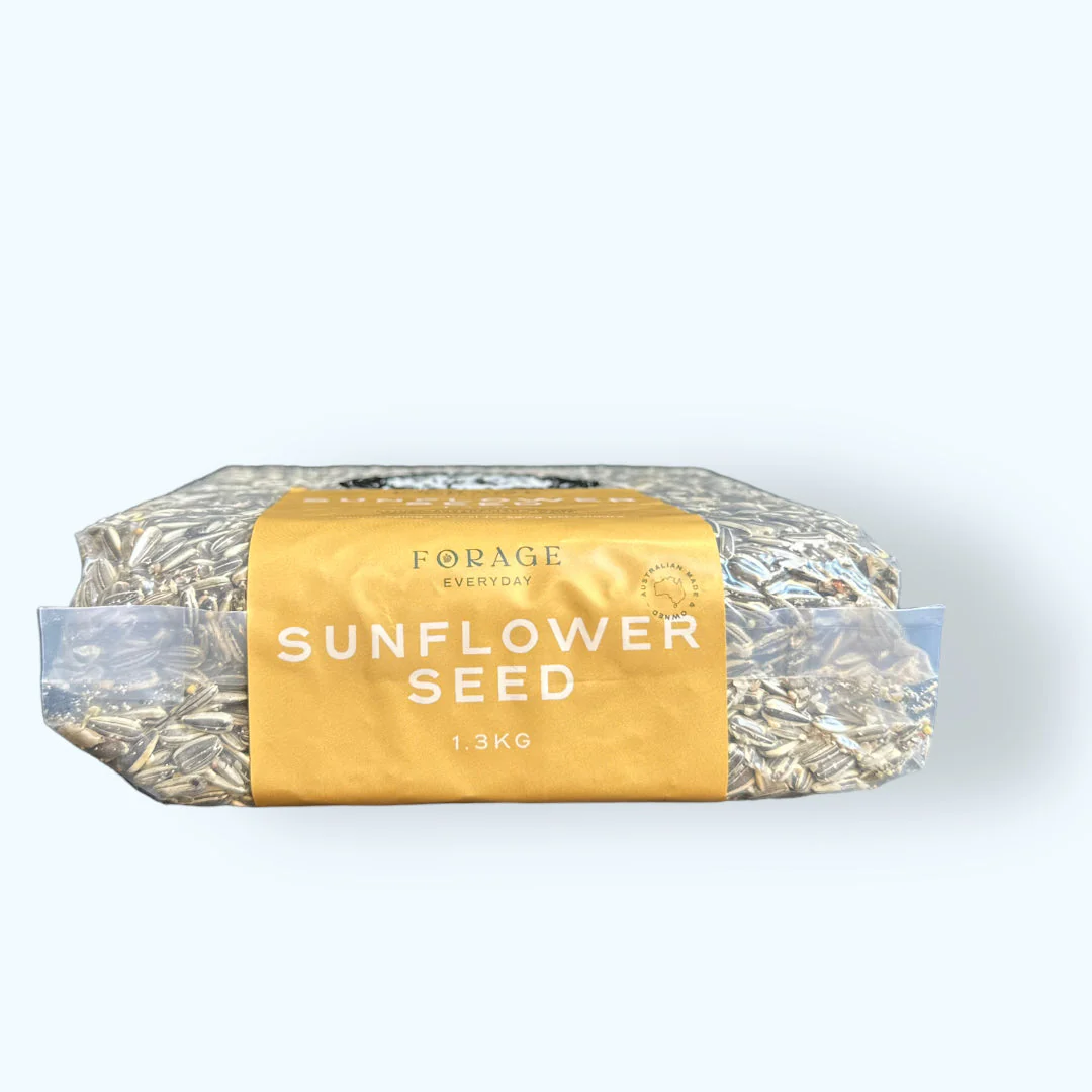 Forage Everyday Sunflower Seed 1.3kg - Image 2