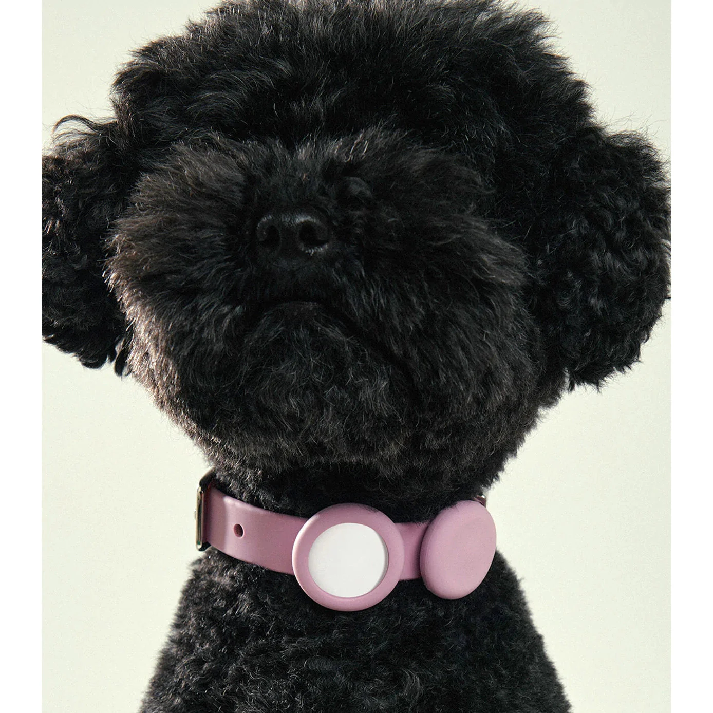 frank green Midnight Dog Safety Light Medium - Image 2