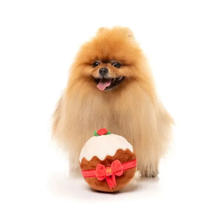 Fuzzyard Christmas Merry Puddin Dog Toy Large *** - Image 4