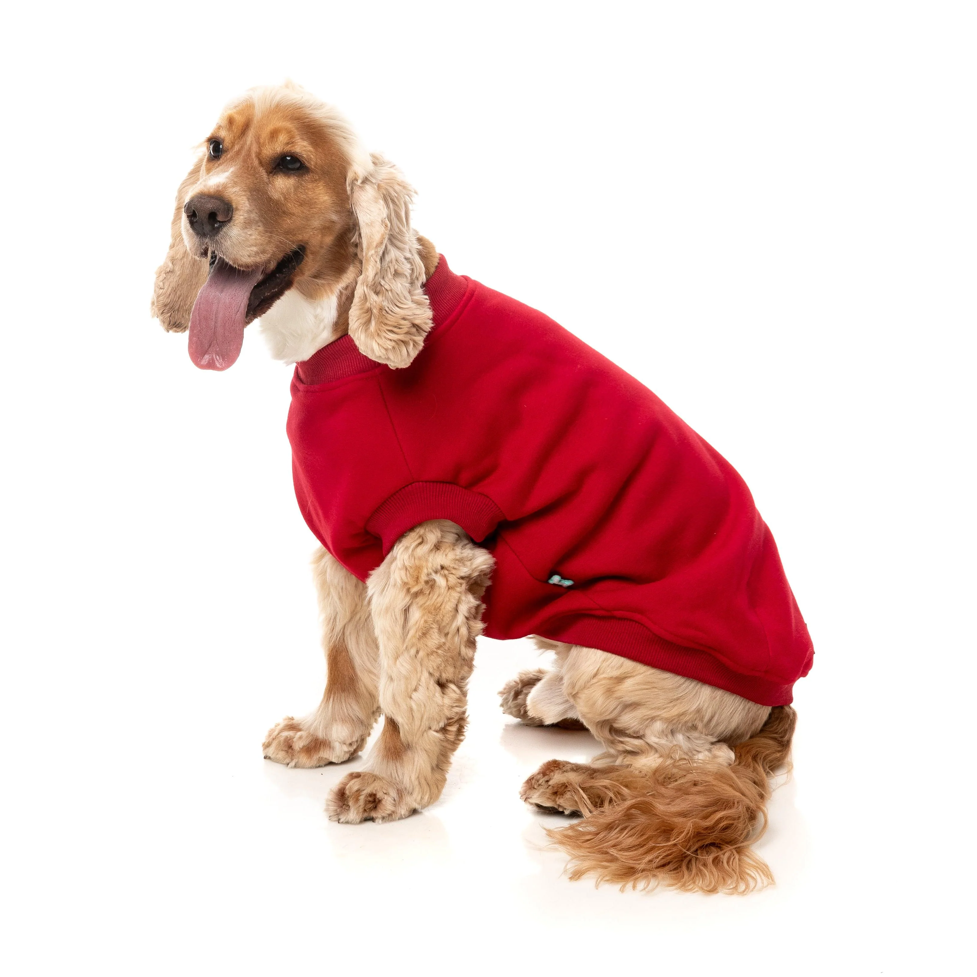 FuzzYard Dog Apparel Allday 25 Sweater Red Size 3 ^+^ - Image 3