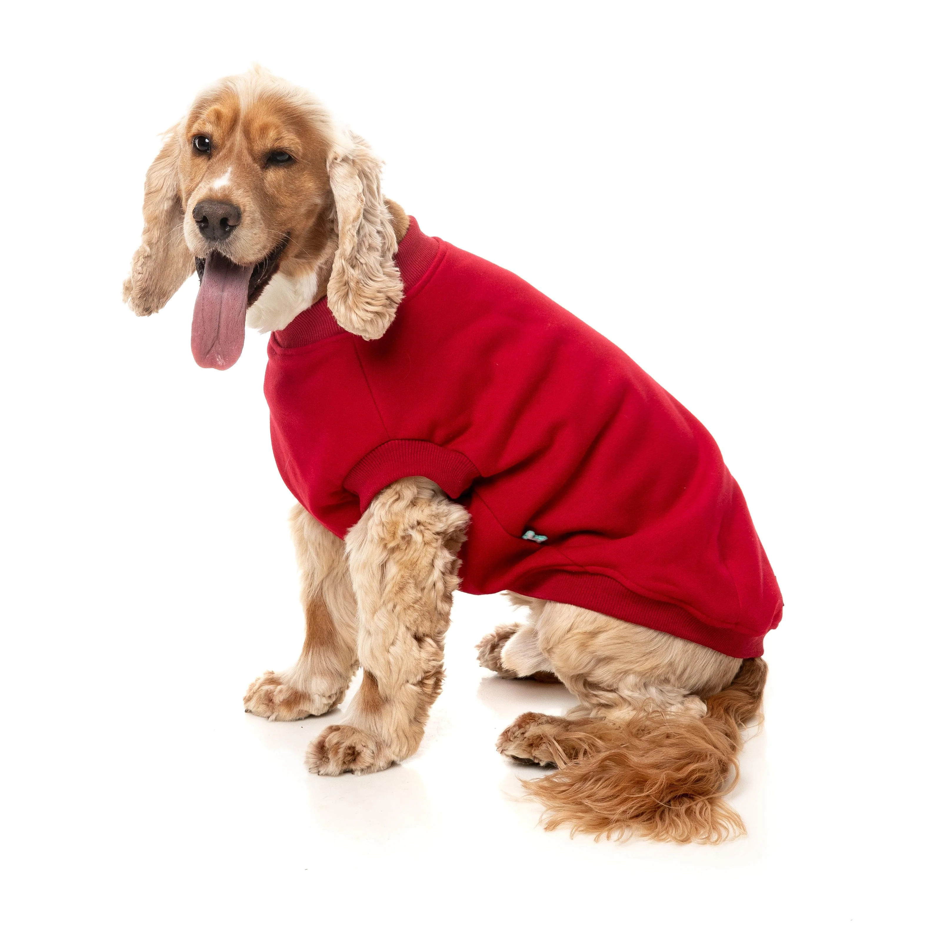 FuzzYard Dog Apparel Allday 25 Sweater Red Size 3 ^+^ - Image 4