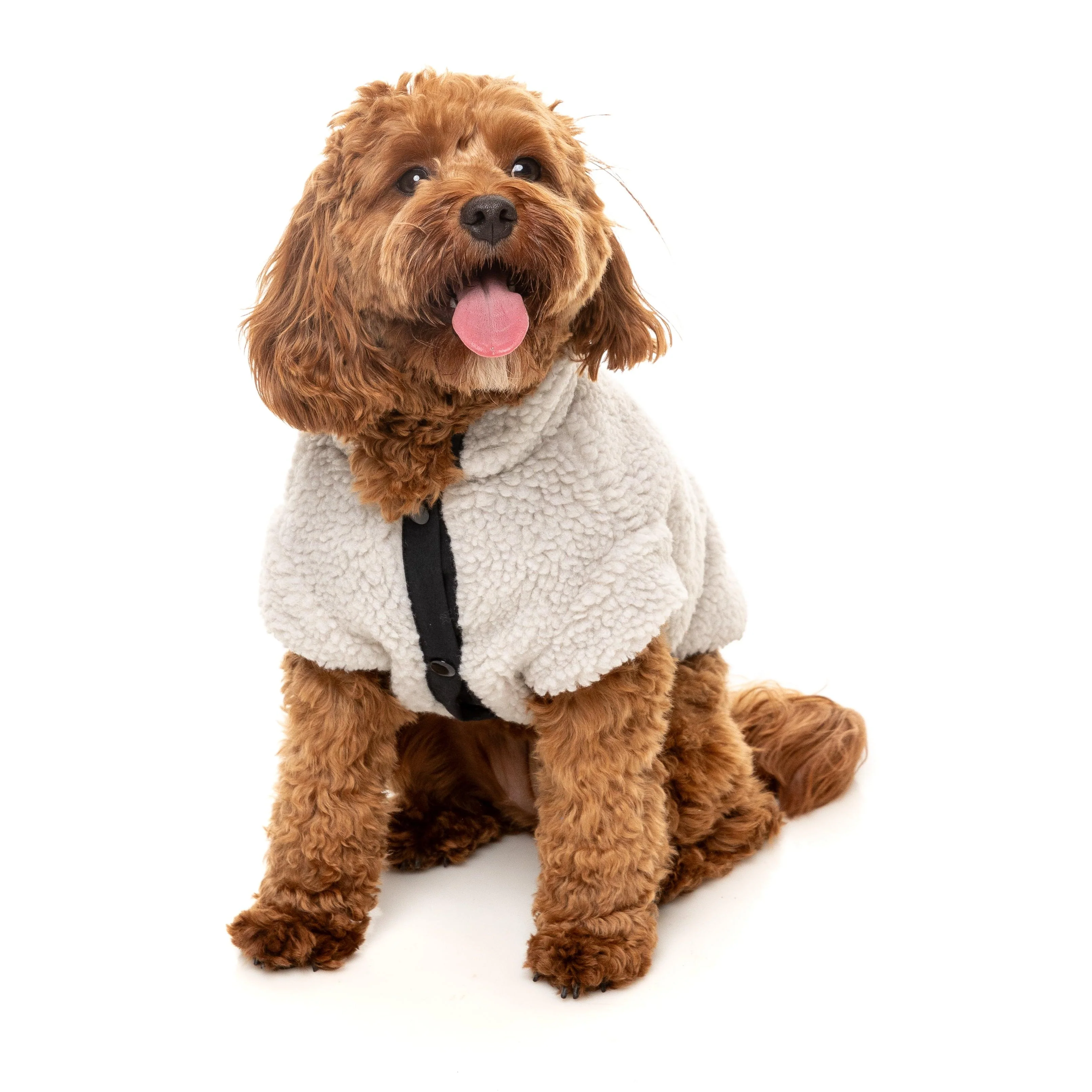 FuzzYard Dog Apparel Jacket Basecamp Stone Size 5 *** - Image 3