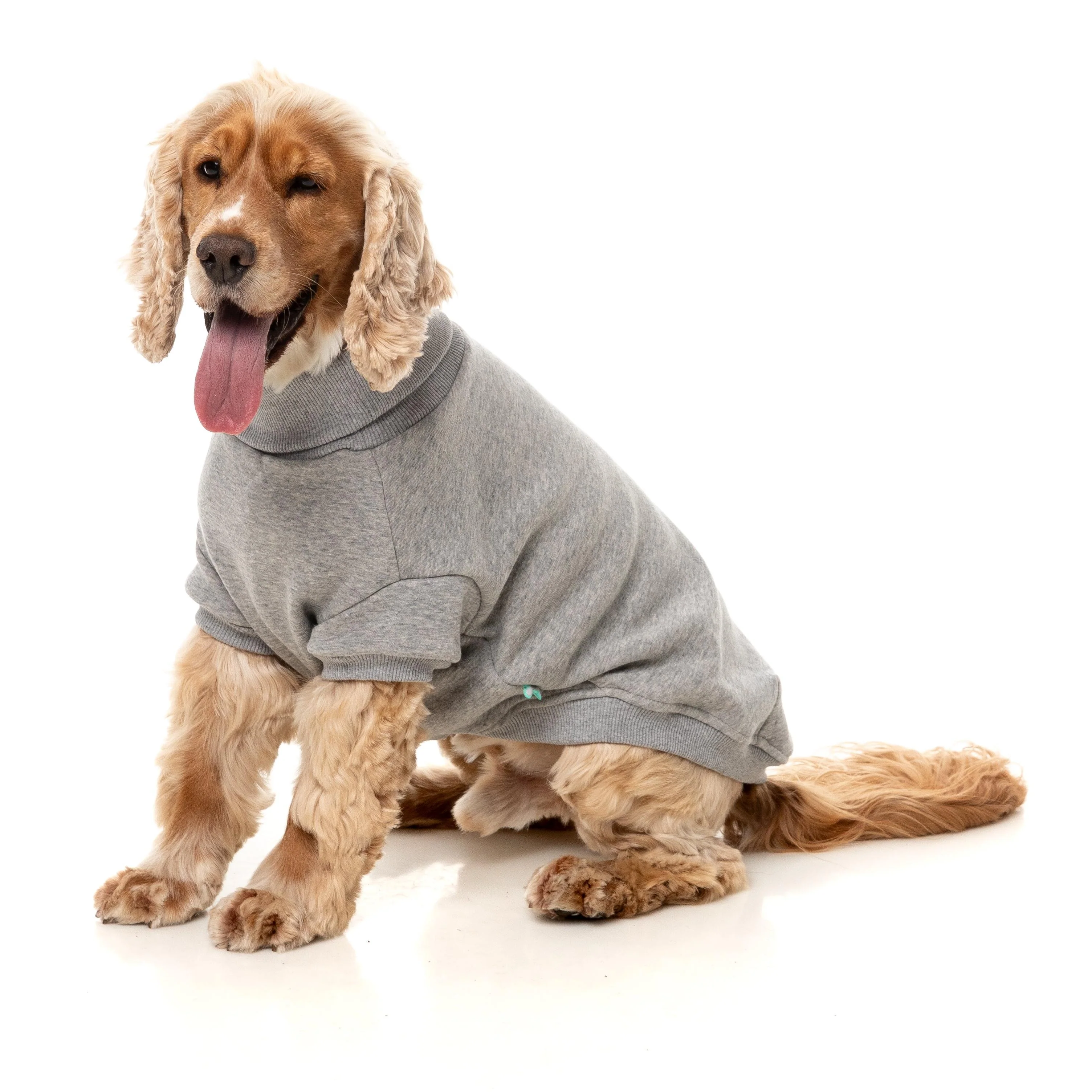 FuzzYard Dog Apparel Stevie 25 Sweater Grey Size 2 ^+^ - Image 5