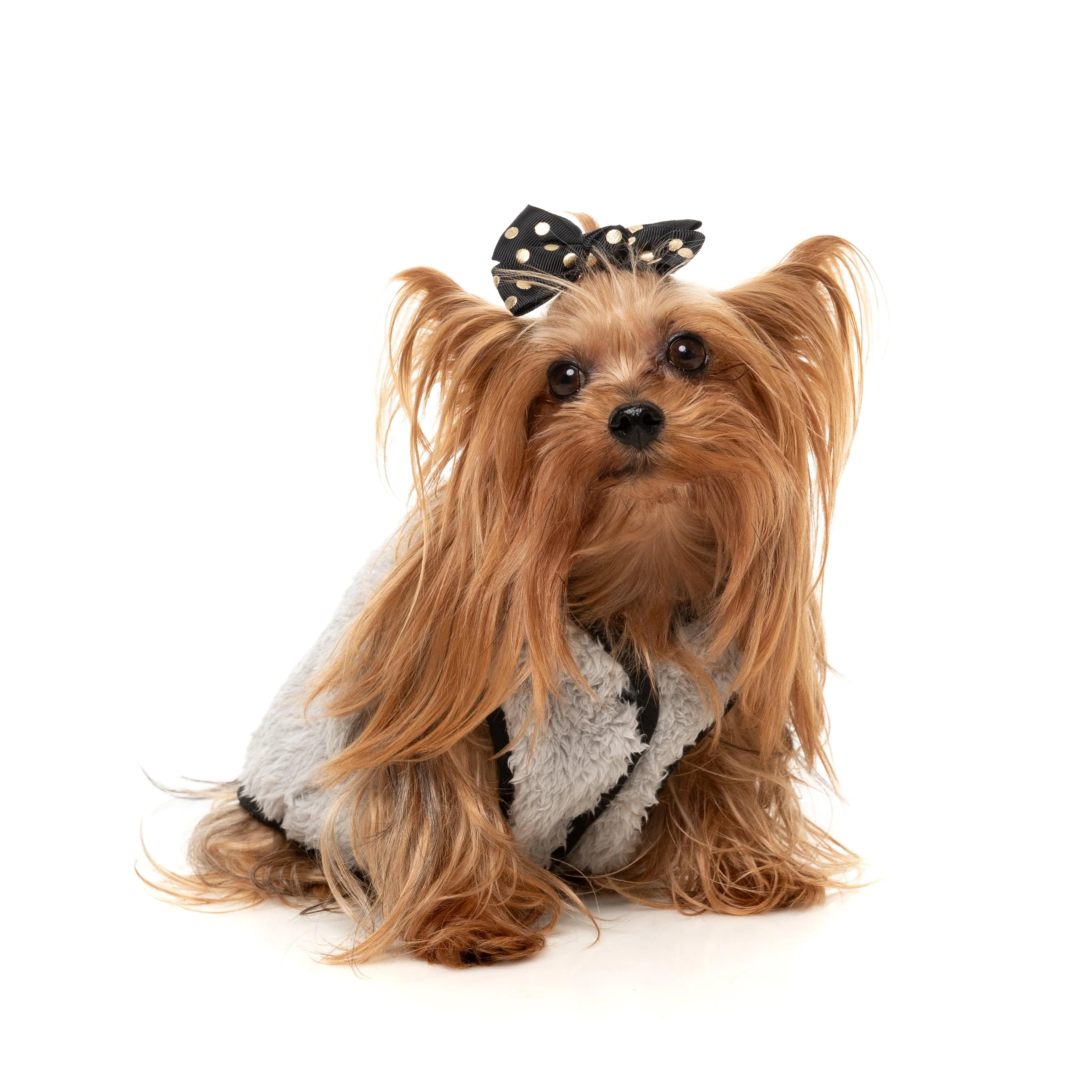 FuzzYard Dog Apparel Umeda Jacket Black Size 3 - Image 4