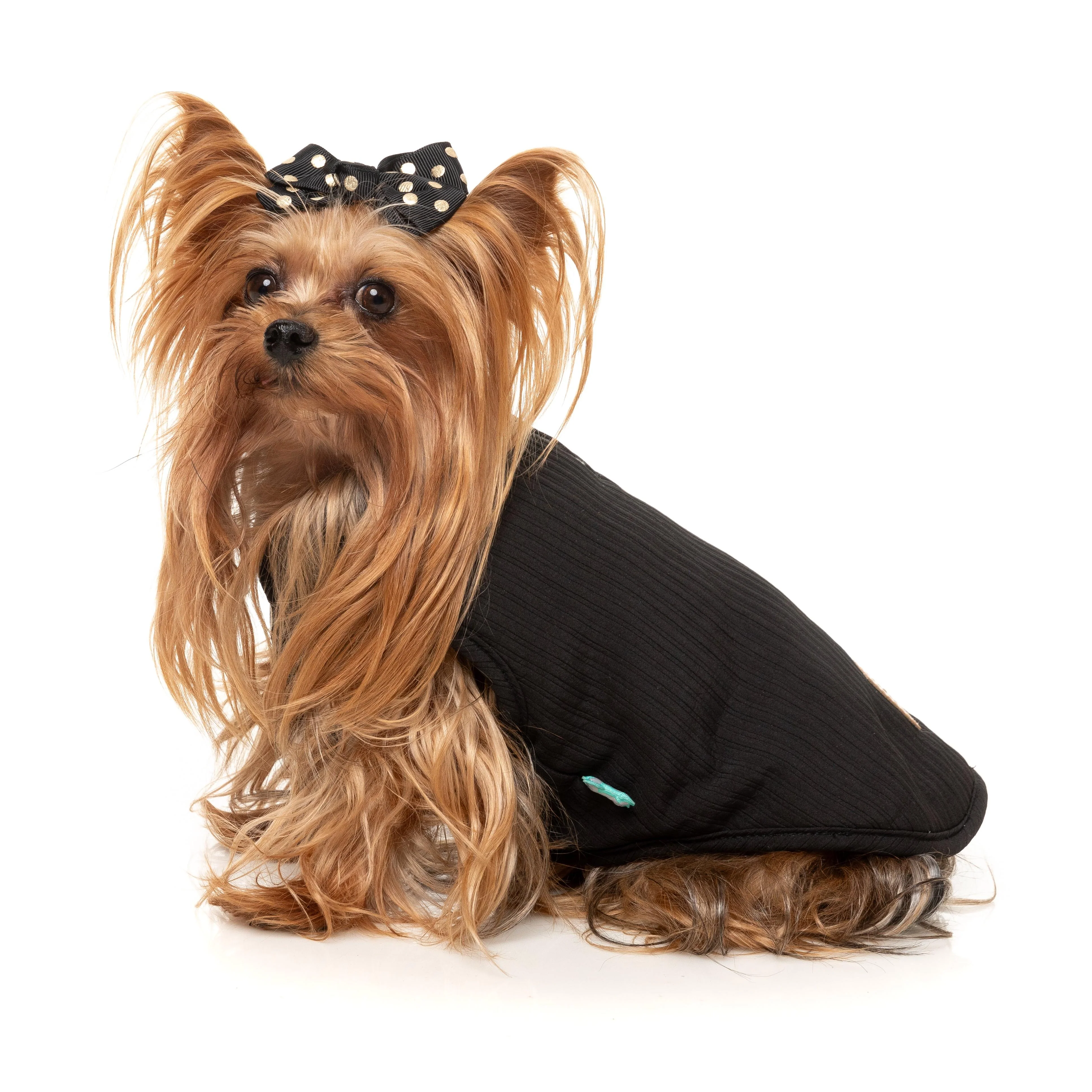 FuzzYard Dog Apparel Umeda Jacket Black Size 4