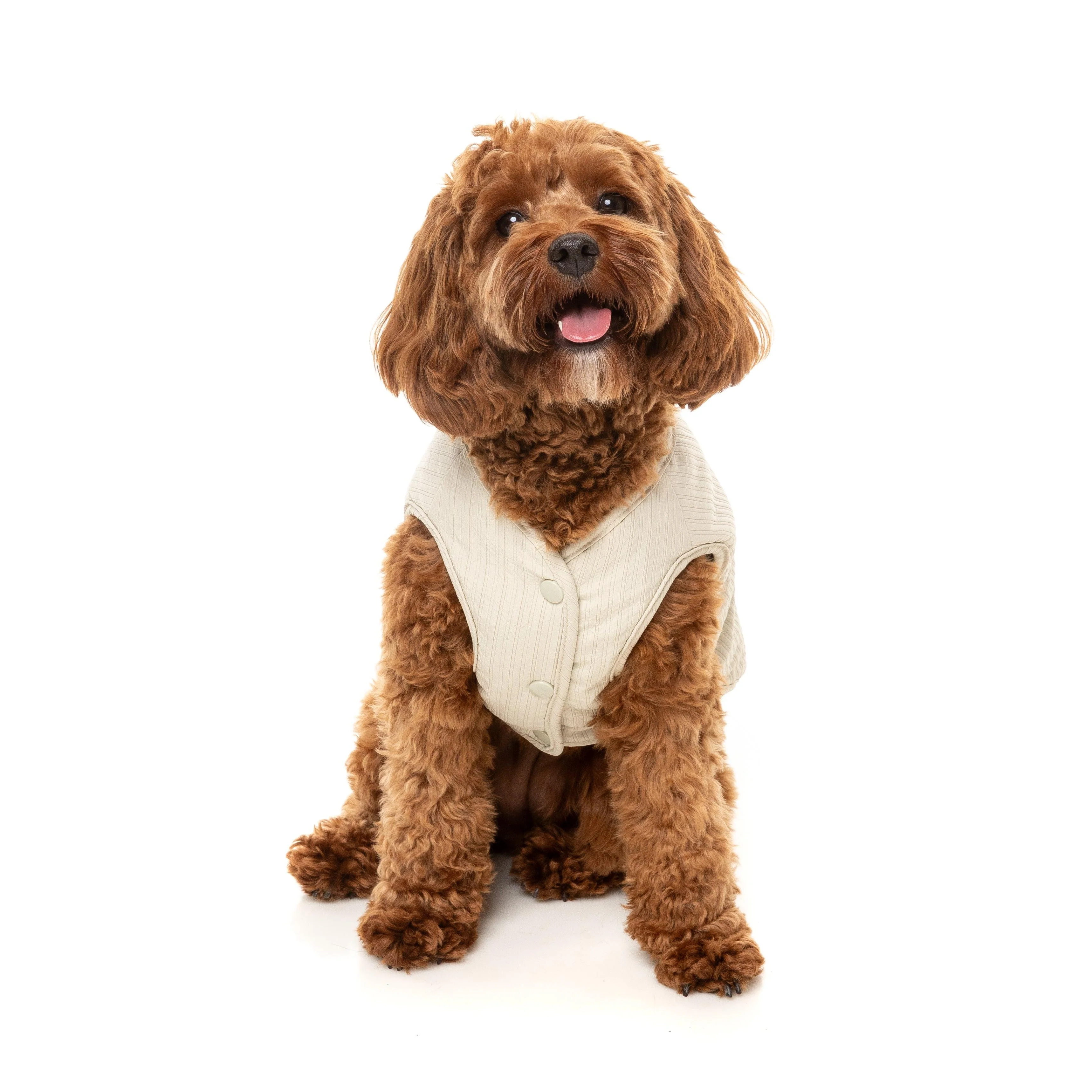 FuzzYard Dog Apparel Umeda Jacket Bone Size 2 - Image 2