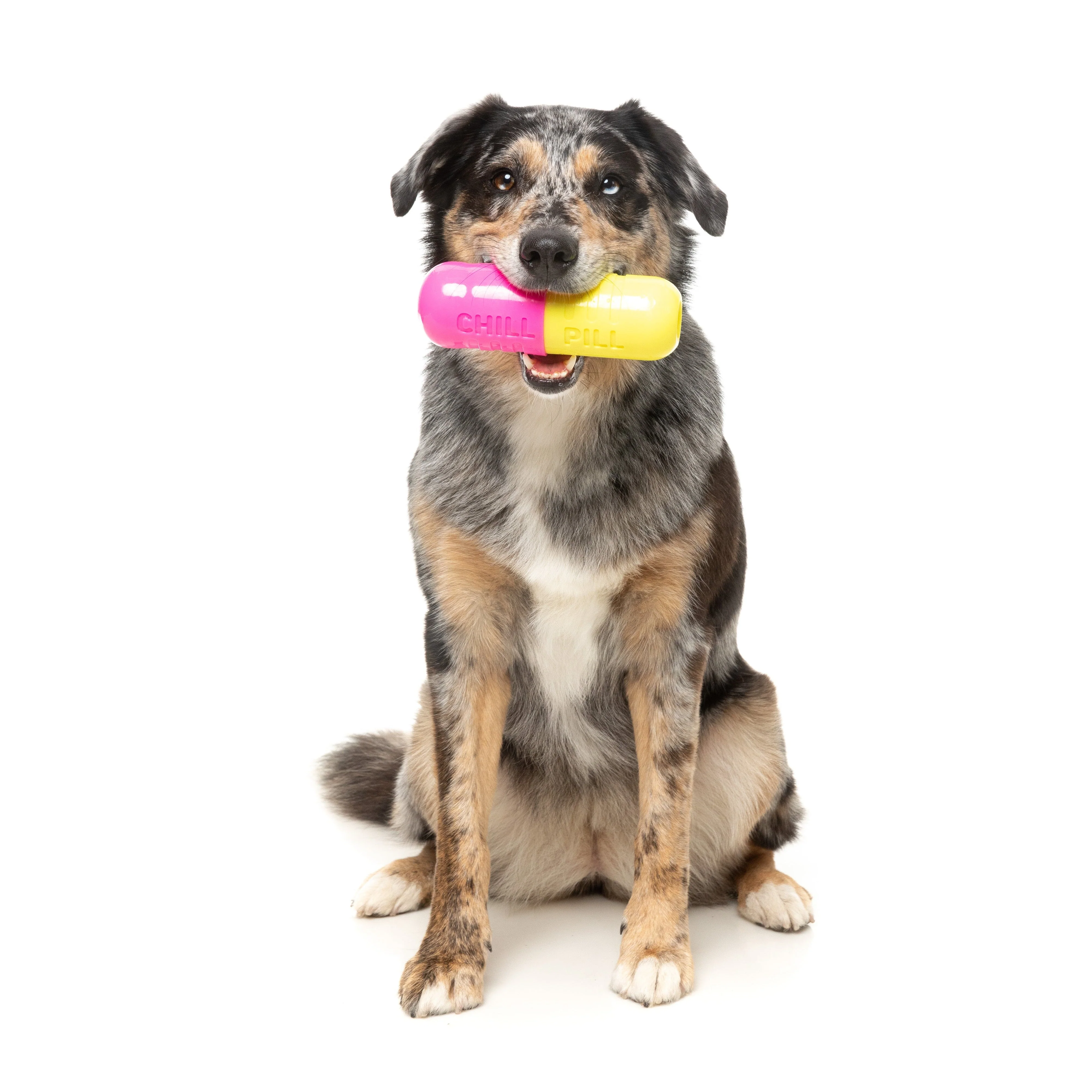 Fuzzyard Dog Toy Chill Pill - Image 5