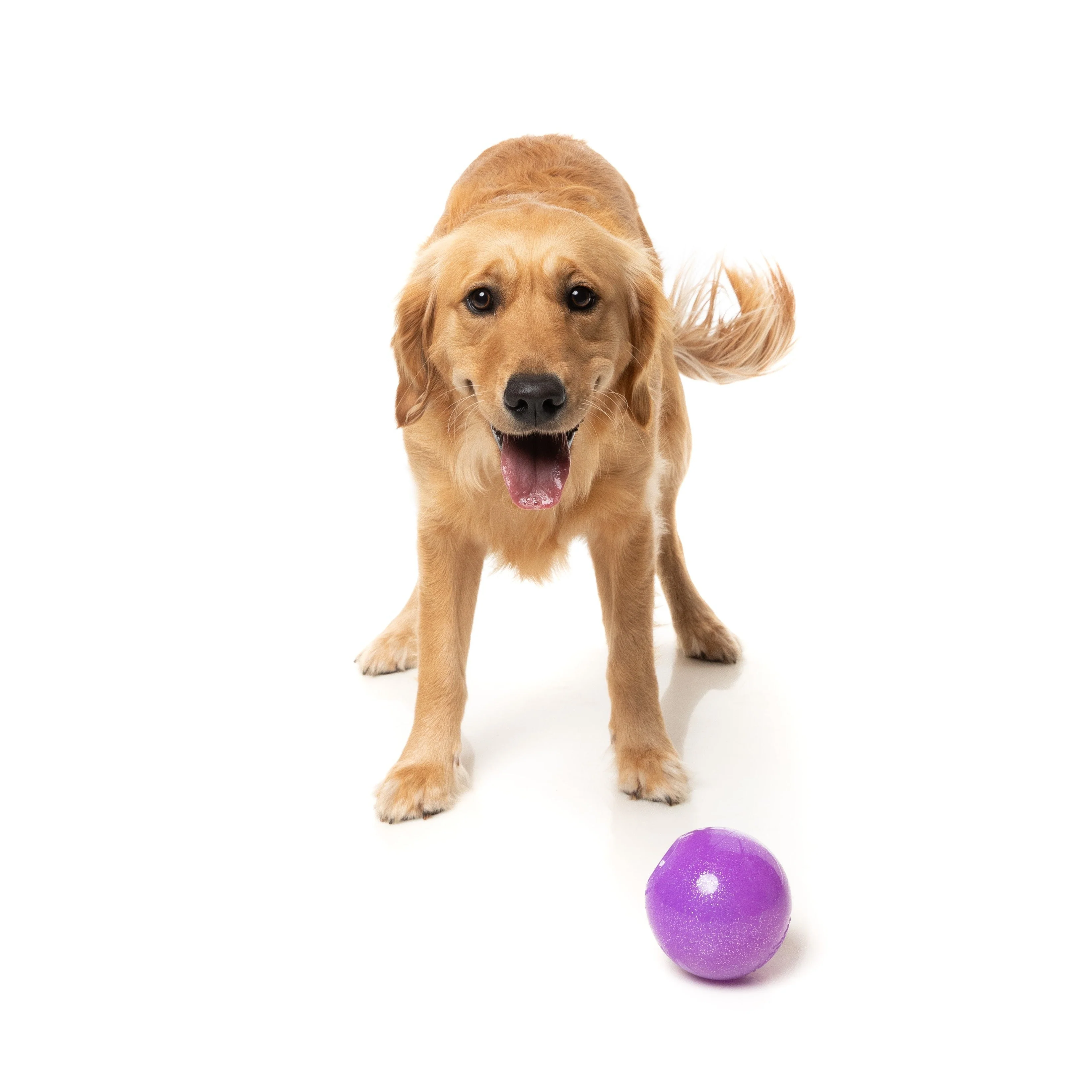 Fuzzyard Dog Toy Truth Tellin Treat Ball - Image 6