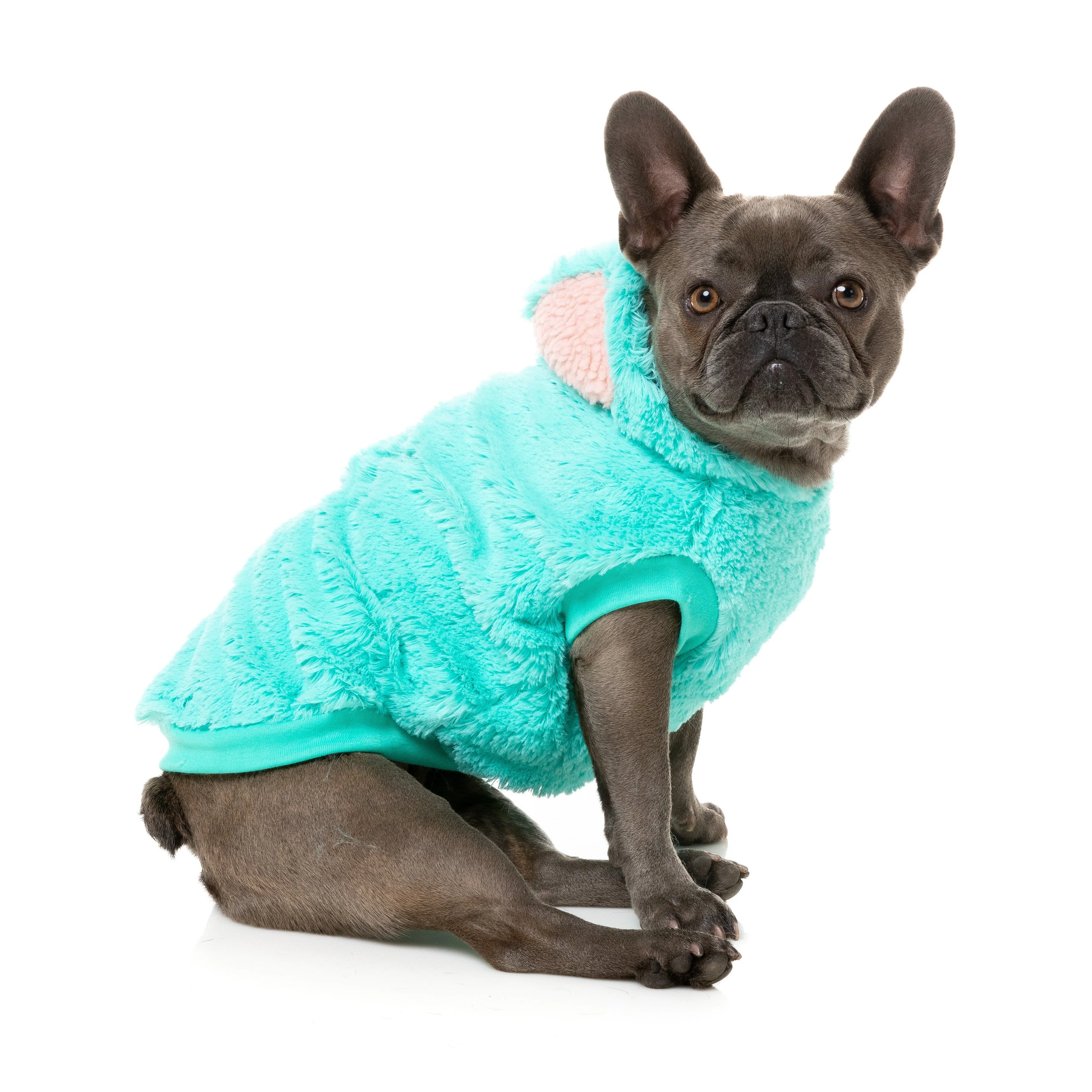 FuzzYard Halloween Dog Apparel Cerebella the Zombie Size 1*** - Image 4
