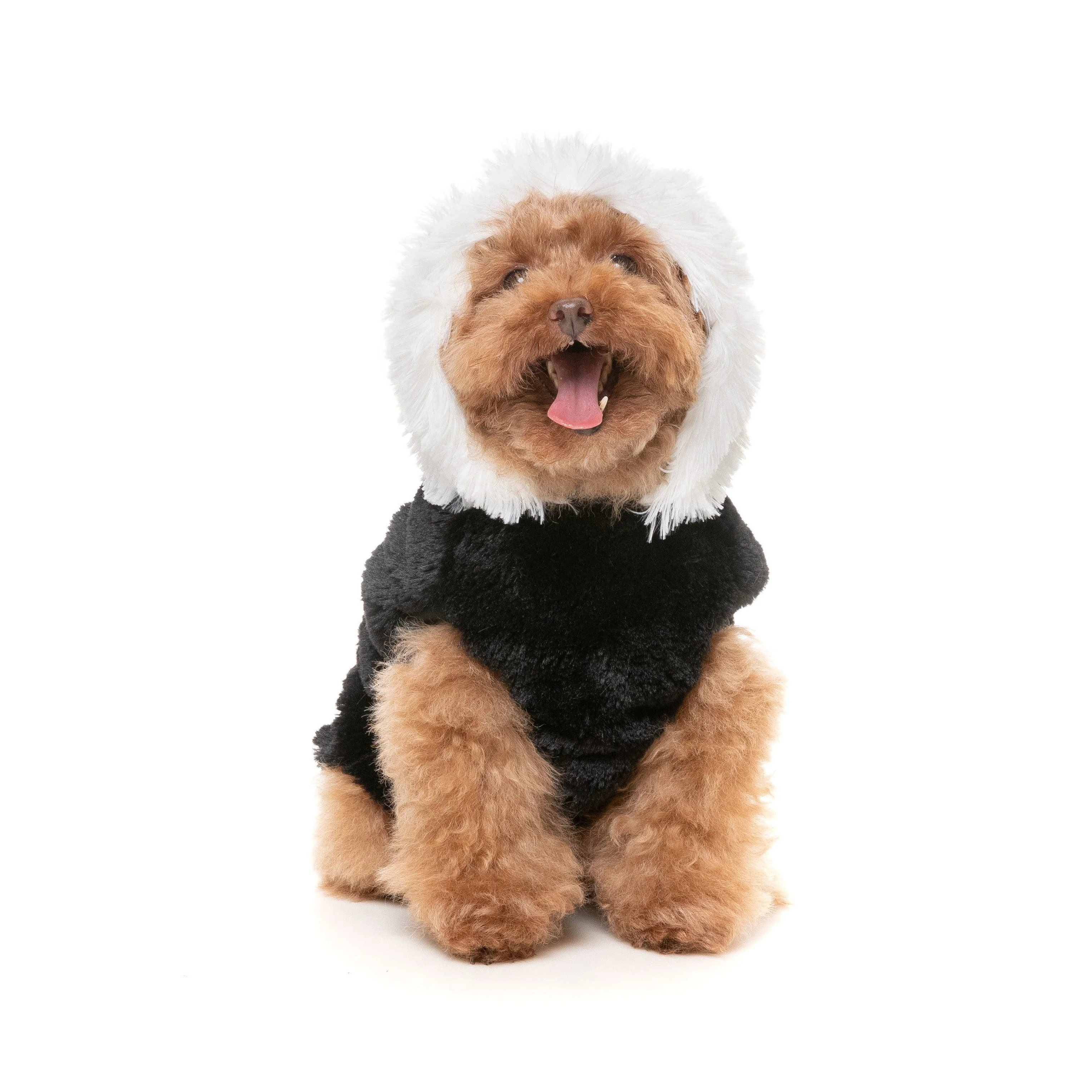 Fuzzyard Halloween Dog Apparel Jerry Spinefield Hoodie Size 5 *** - Image 6