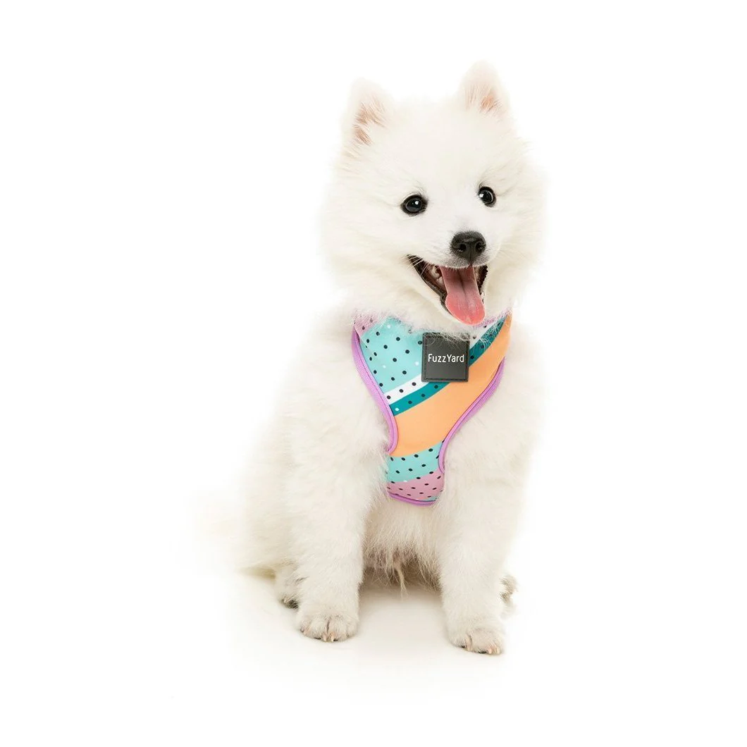 FuzzYard Dog Harness Footloose Small* - Image 3