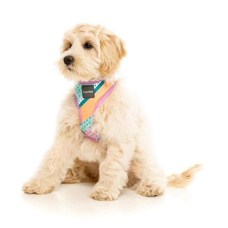 FuzzYard Dog Harness Footloose Small* - Image 4