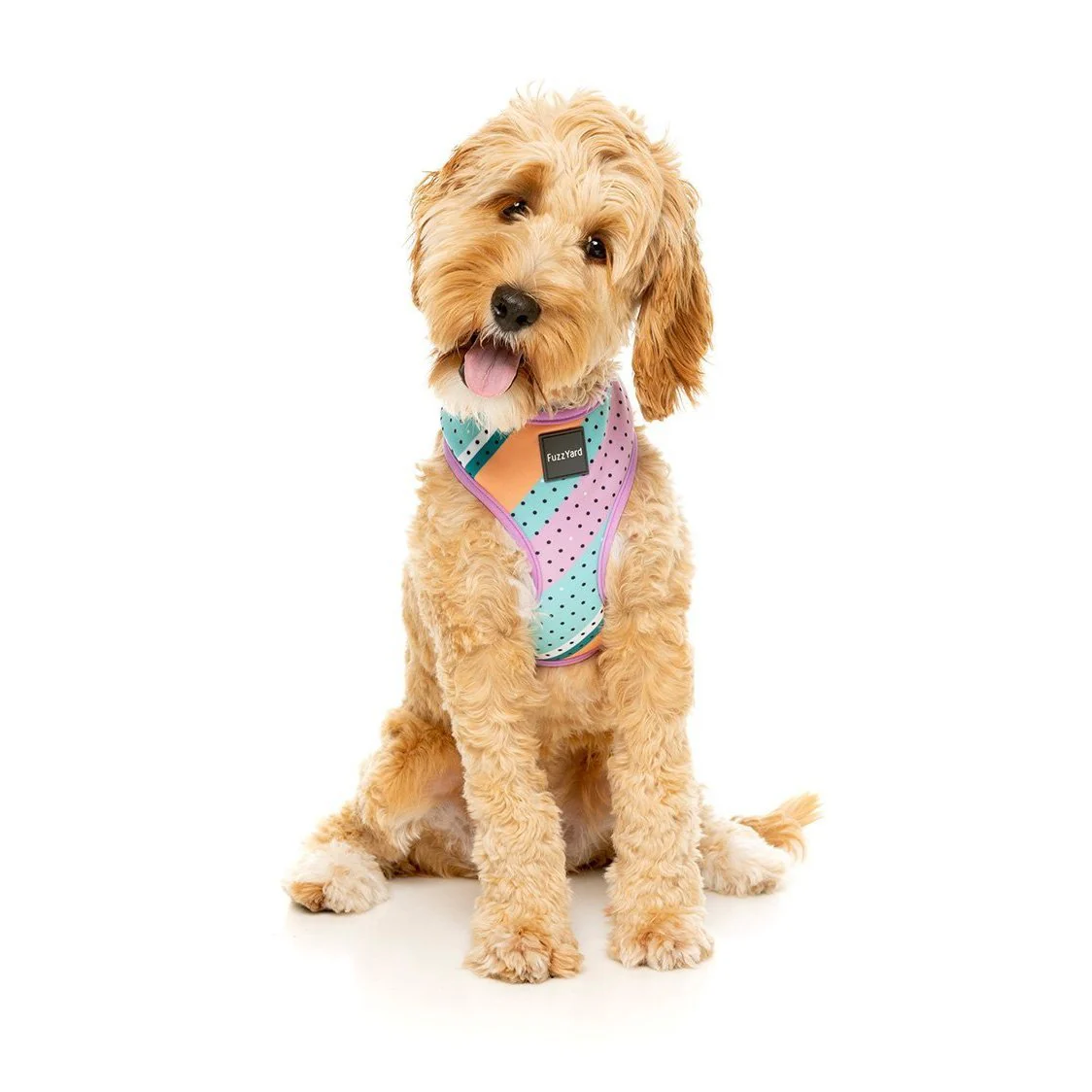 FuzzYard Dog Harness Footloose Small* - Image 7