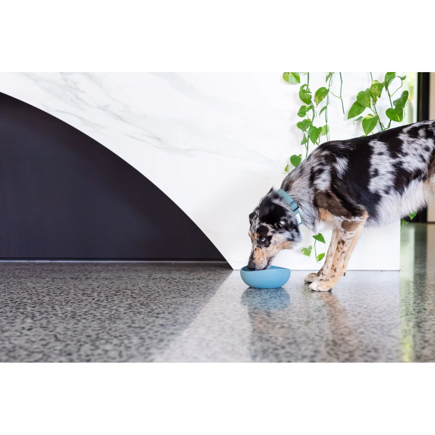 FuzzYard Life Silicone Dog Bowl French Blue Large - Image 4