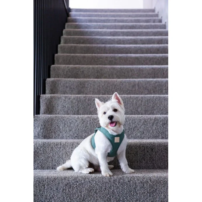 FuzzYard Life Step In Dog Harness Myrtle Green Extra Large - Image 3
