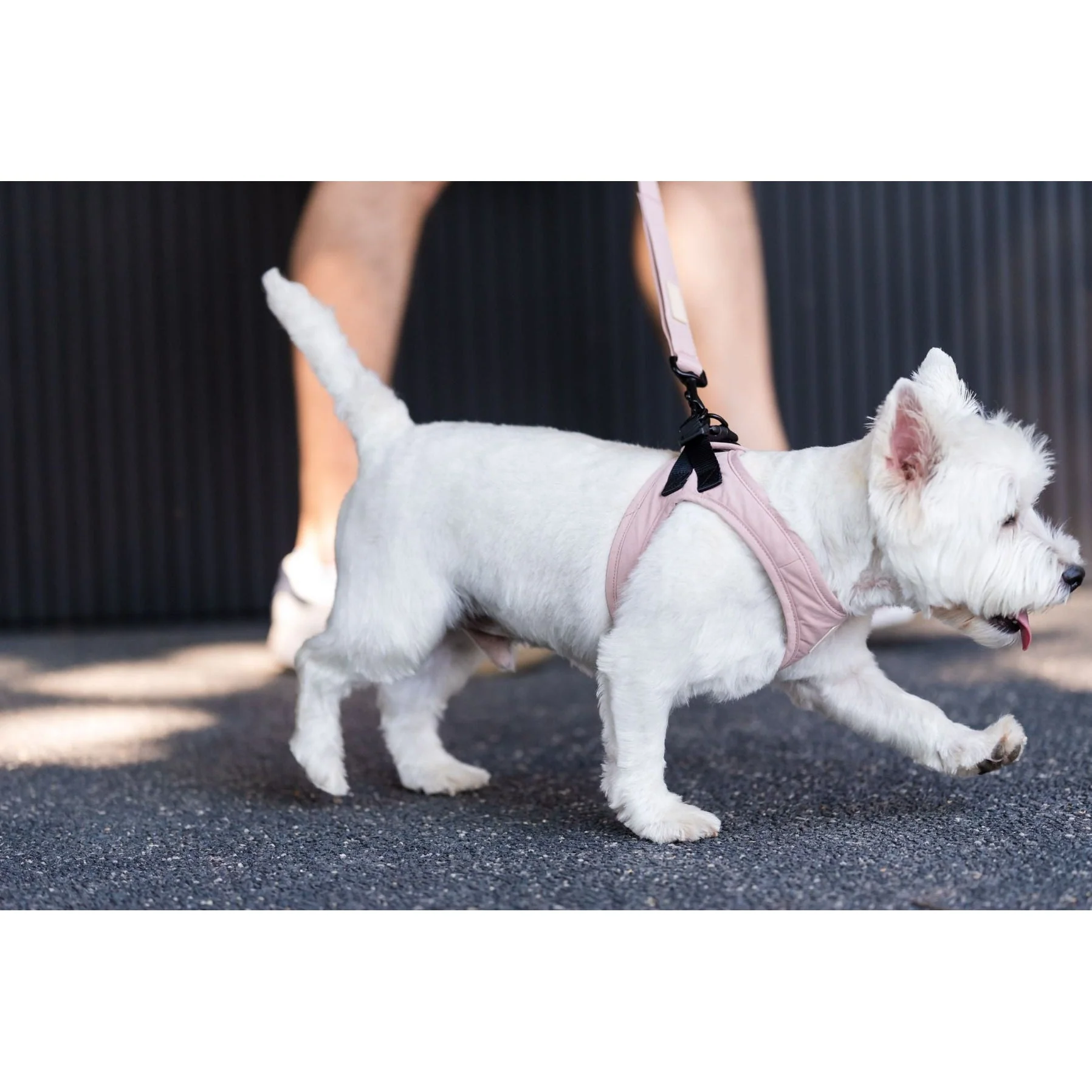 FuzzYard Life Step In Dog Harness Soft Blush Extra Extra Small - Image 4