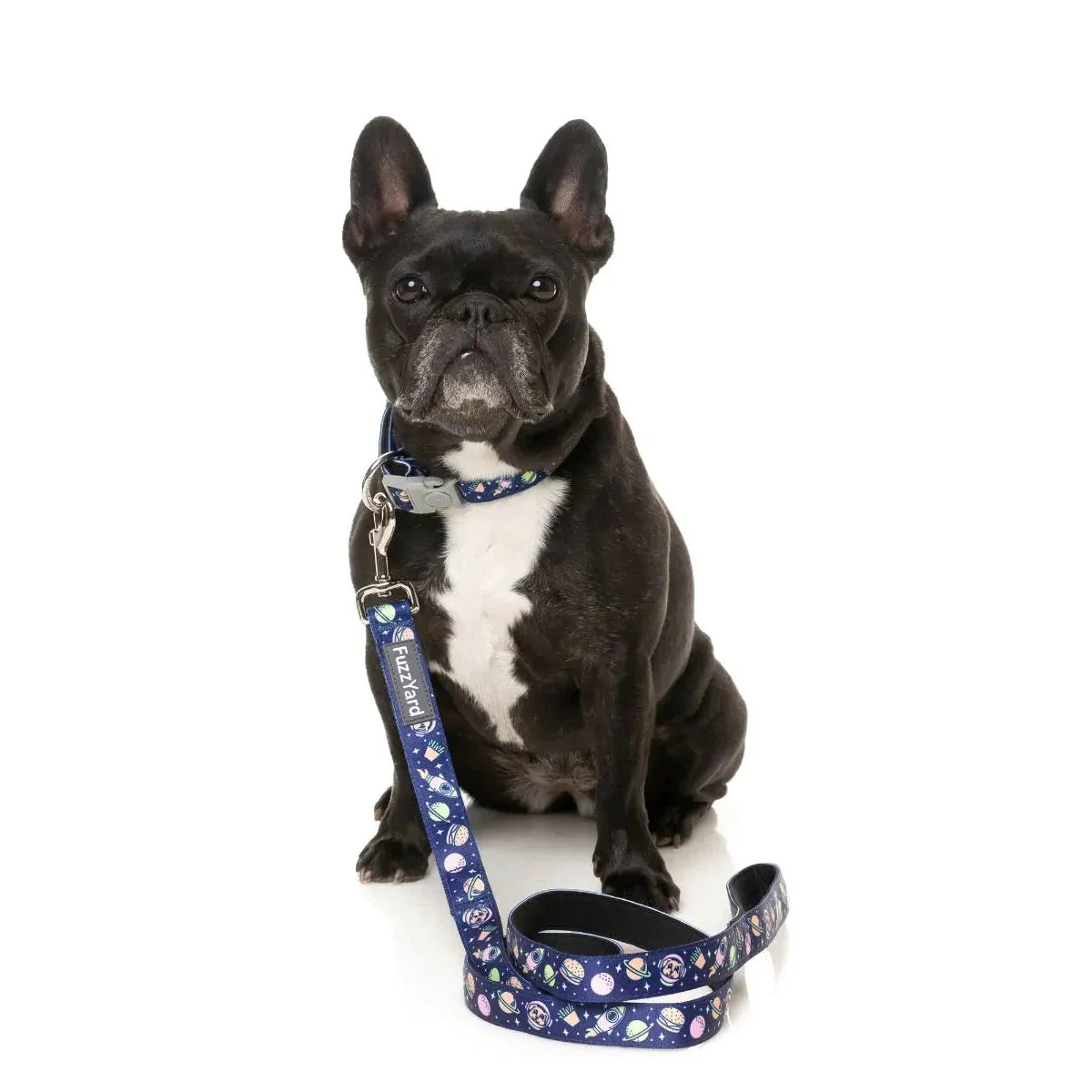 FuzzYard Pluto Pup Dog Collar Large - Image 2