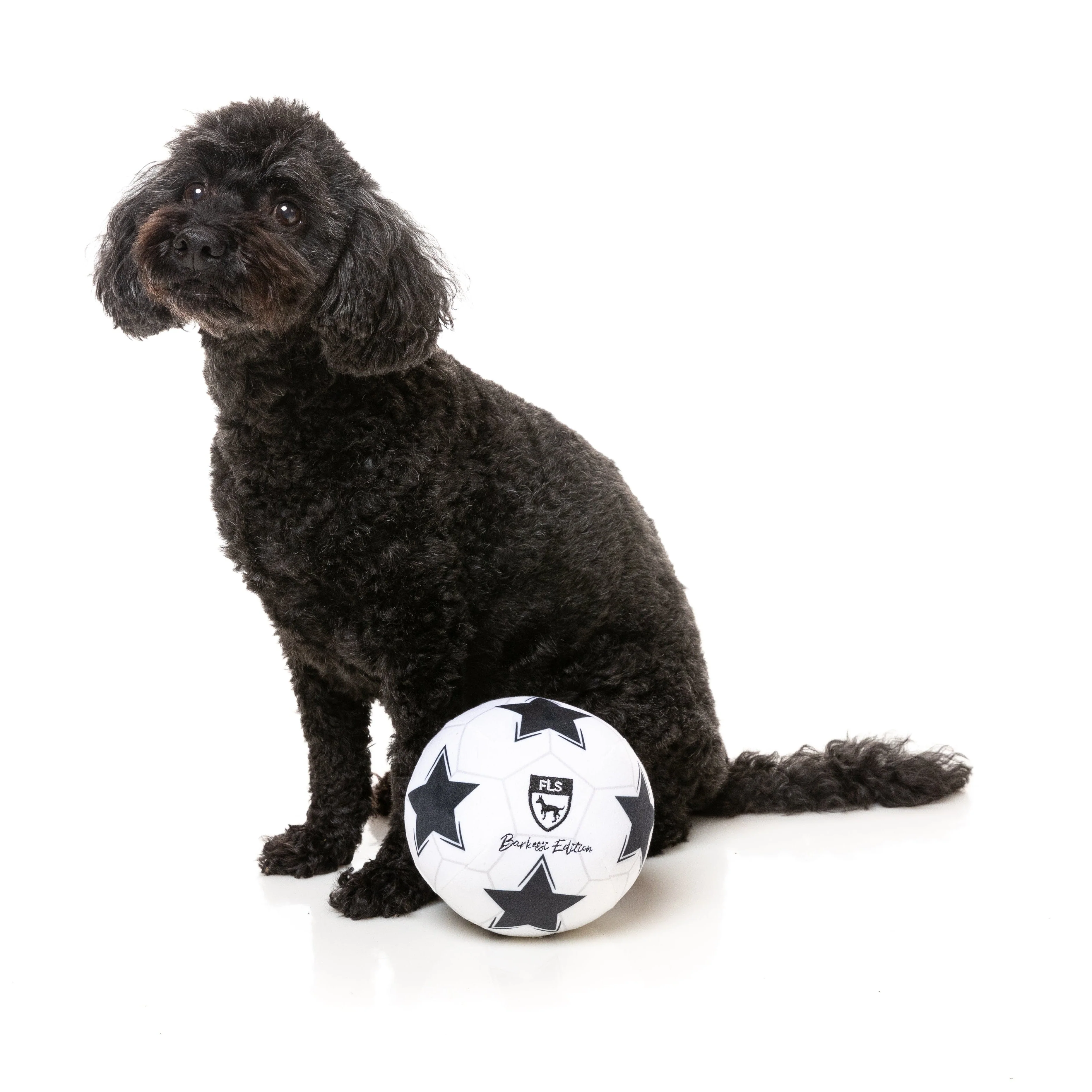 FuzzYard Soccer Ball Soft Dog Toy - Image 2