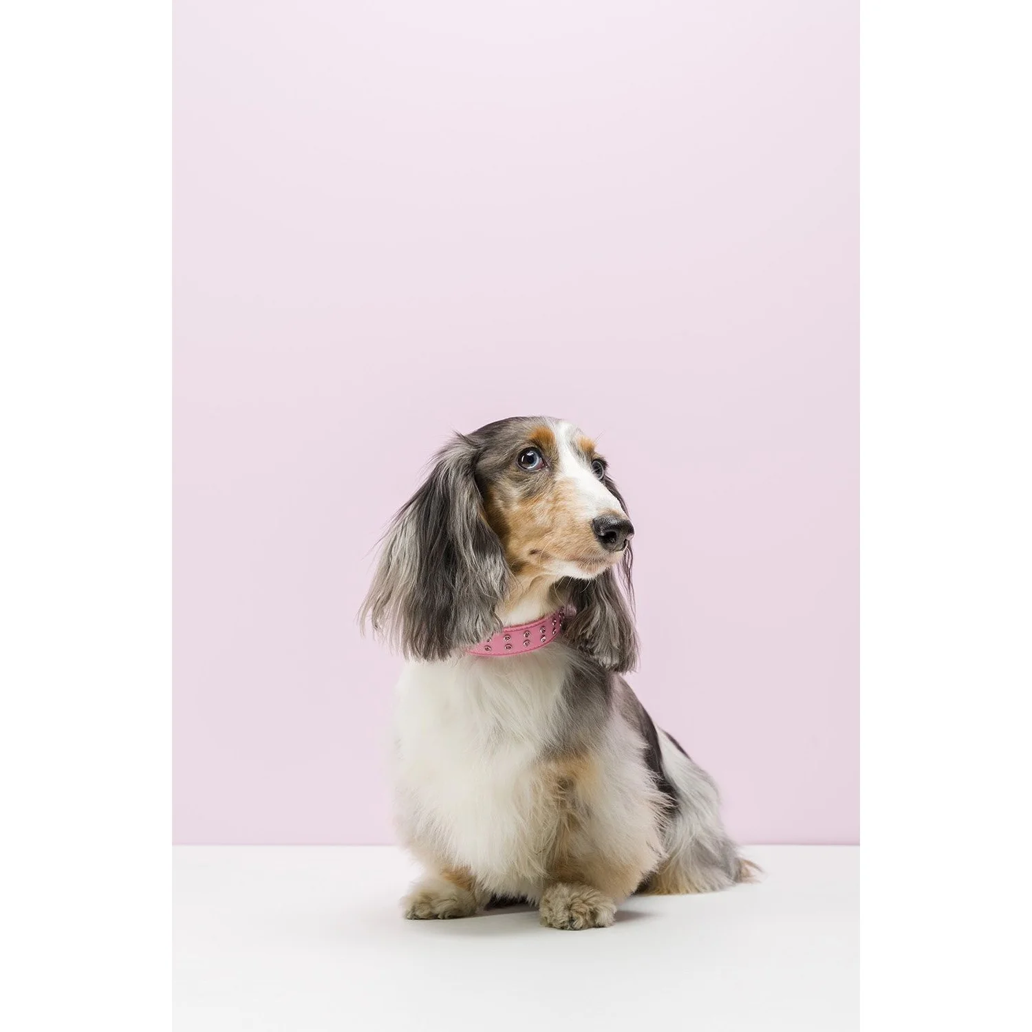 Gummi Bling Medium Pink Dog Collar* - Image 6