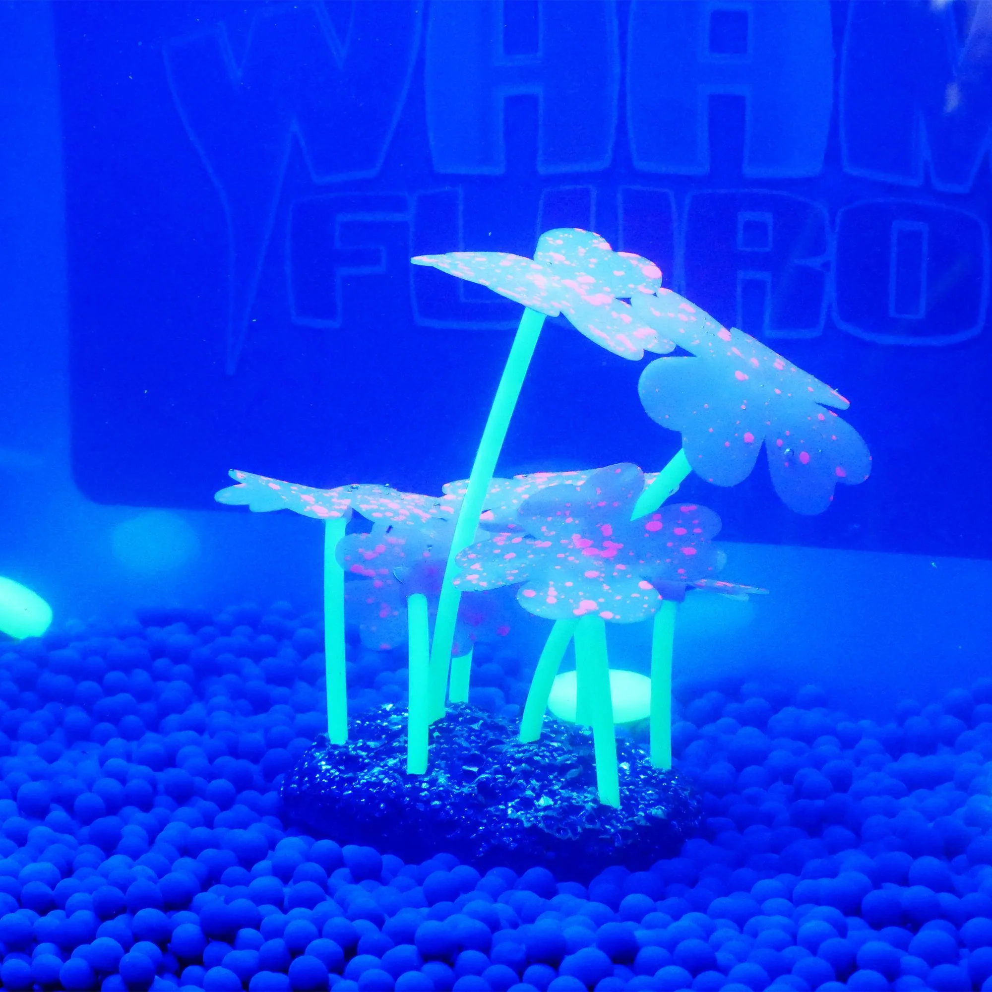 Happy Deko Wham Fluro Feather Coral Fish Tank Ornament* - Image 5