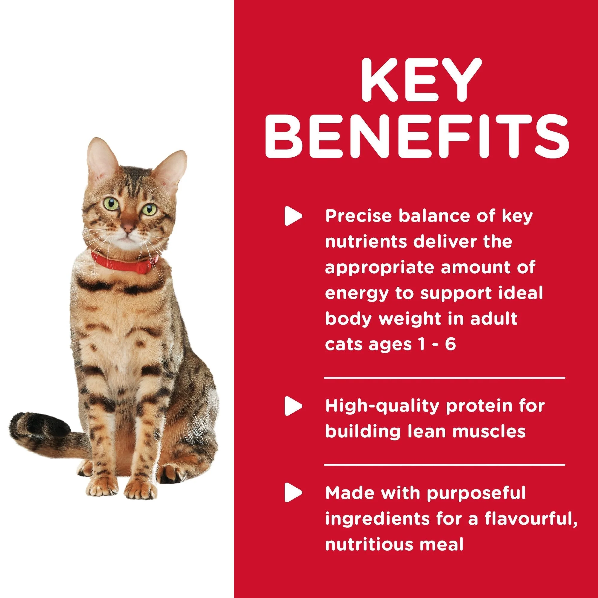 Hills Science Diet Adult Healthy Cuisine Chicken and Rice Medley Canned Cat Food 79g - Image 3