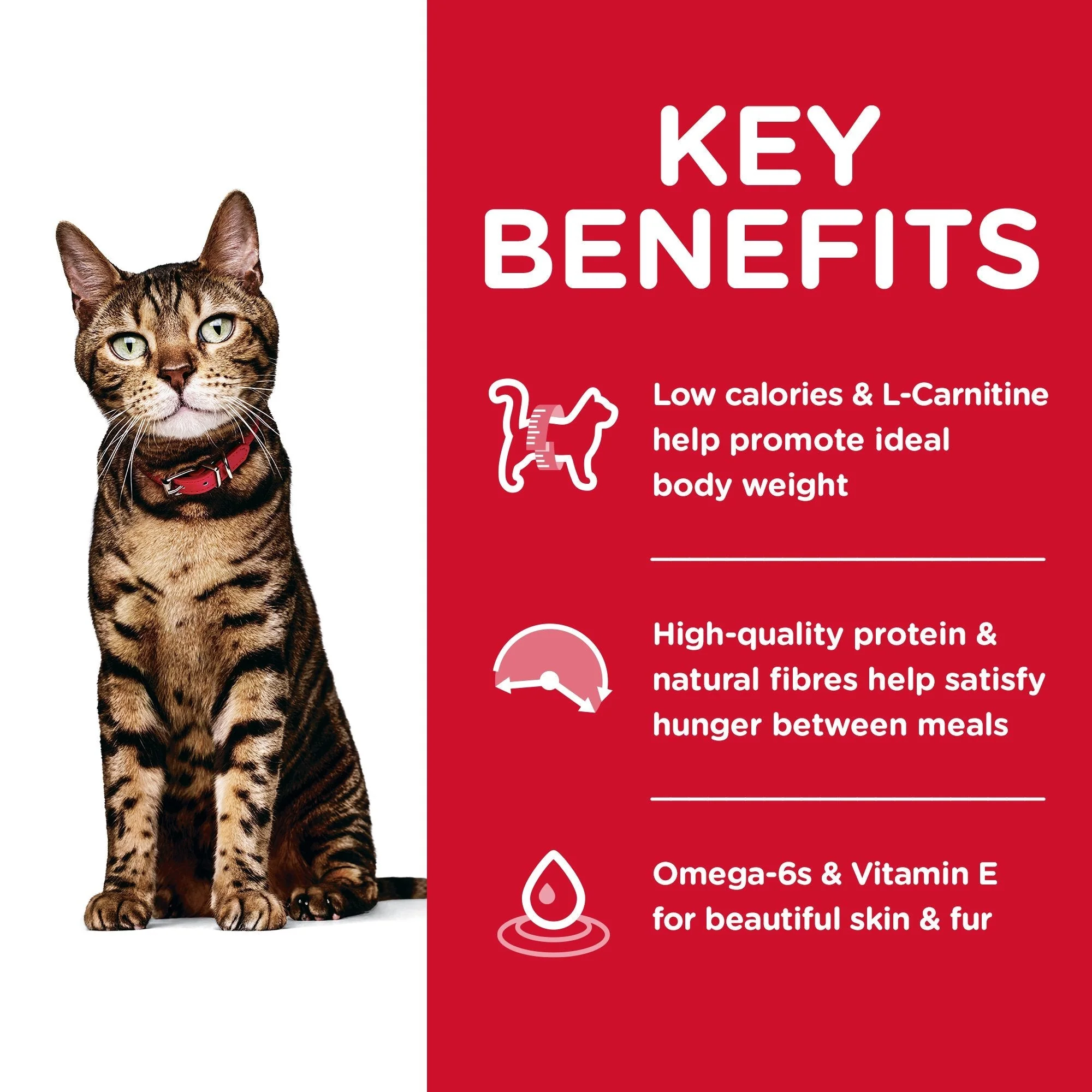 Hills Science Diet Light Adult Dry Cat Food 2kg - Image 3