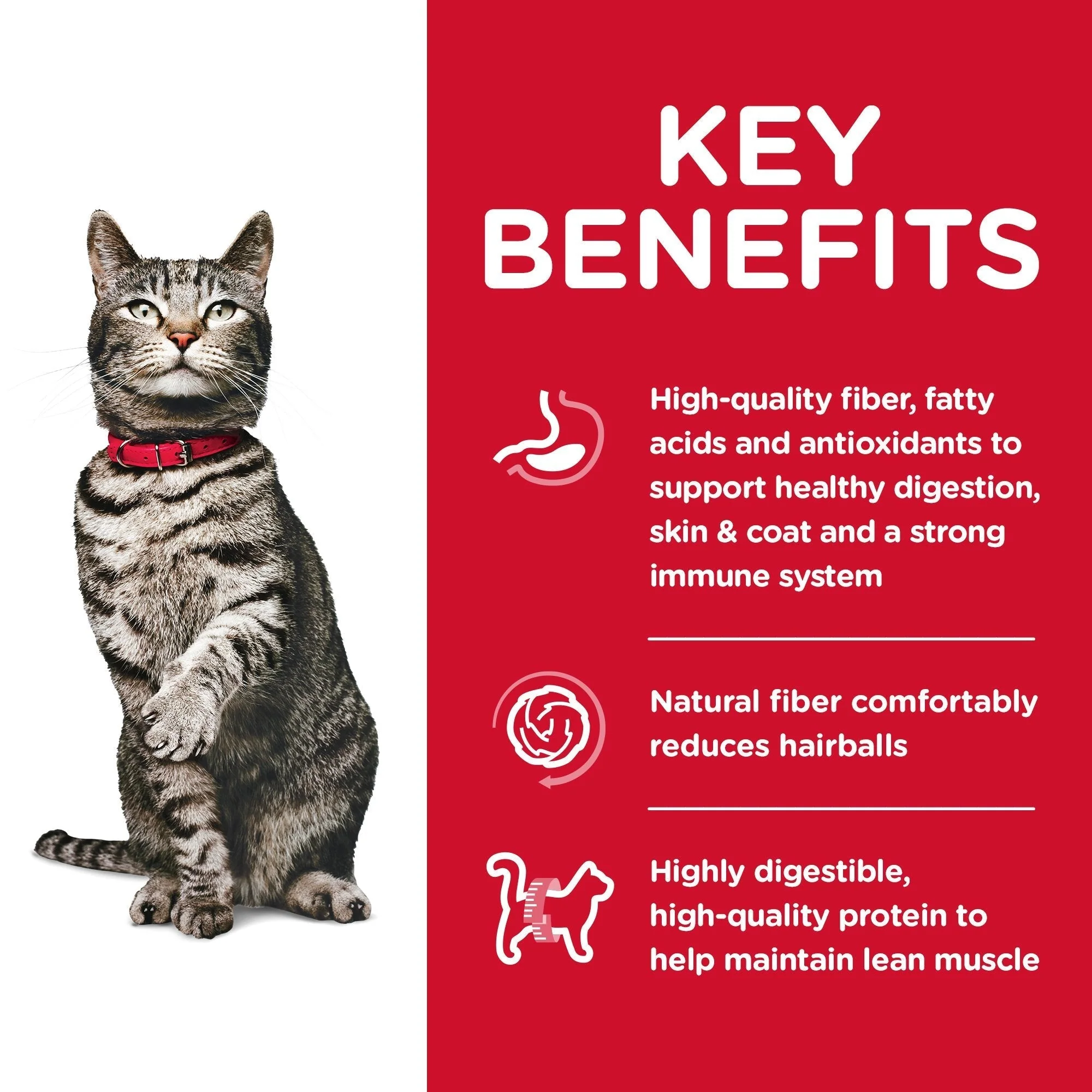 Hills Science Diet Urinary Hairball Control Adult Dry Cat Food 3.17kg - Image 3