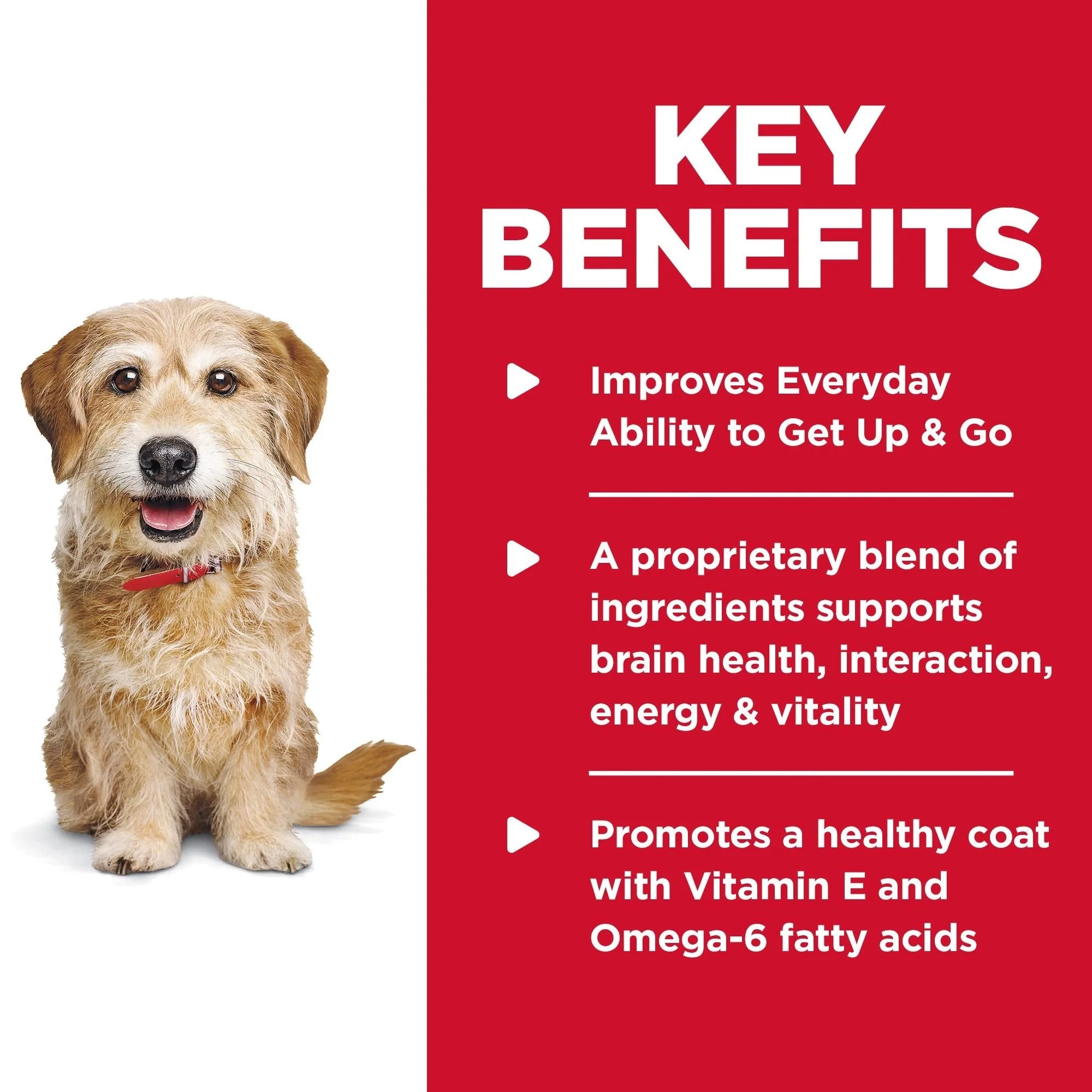 Hills Science Diet Senior Vitality Small and Mini Adult 7+ Dry Dog Food 1.58kg - Image 4