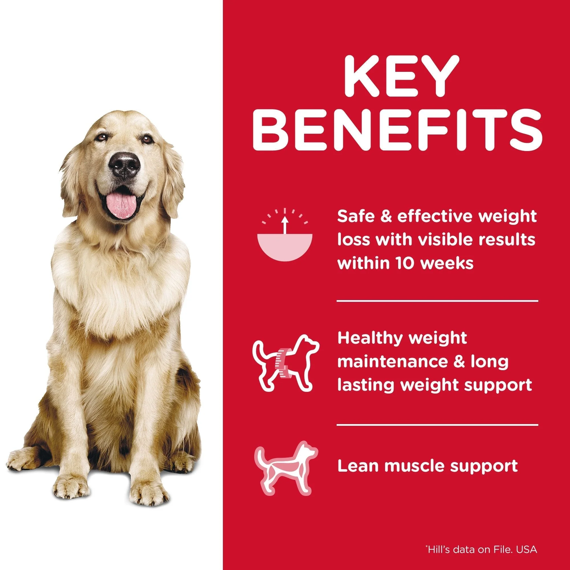 Hills Science Diet Perfect Weight Adult Dry Dog Food 1.8kg - Image 3
