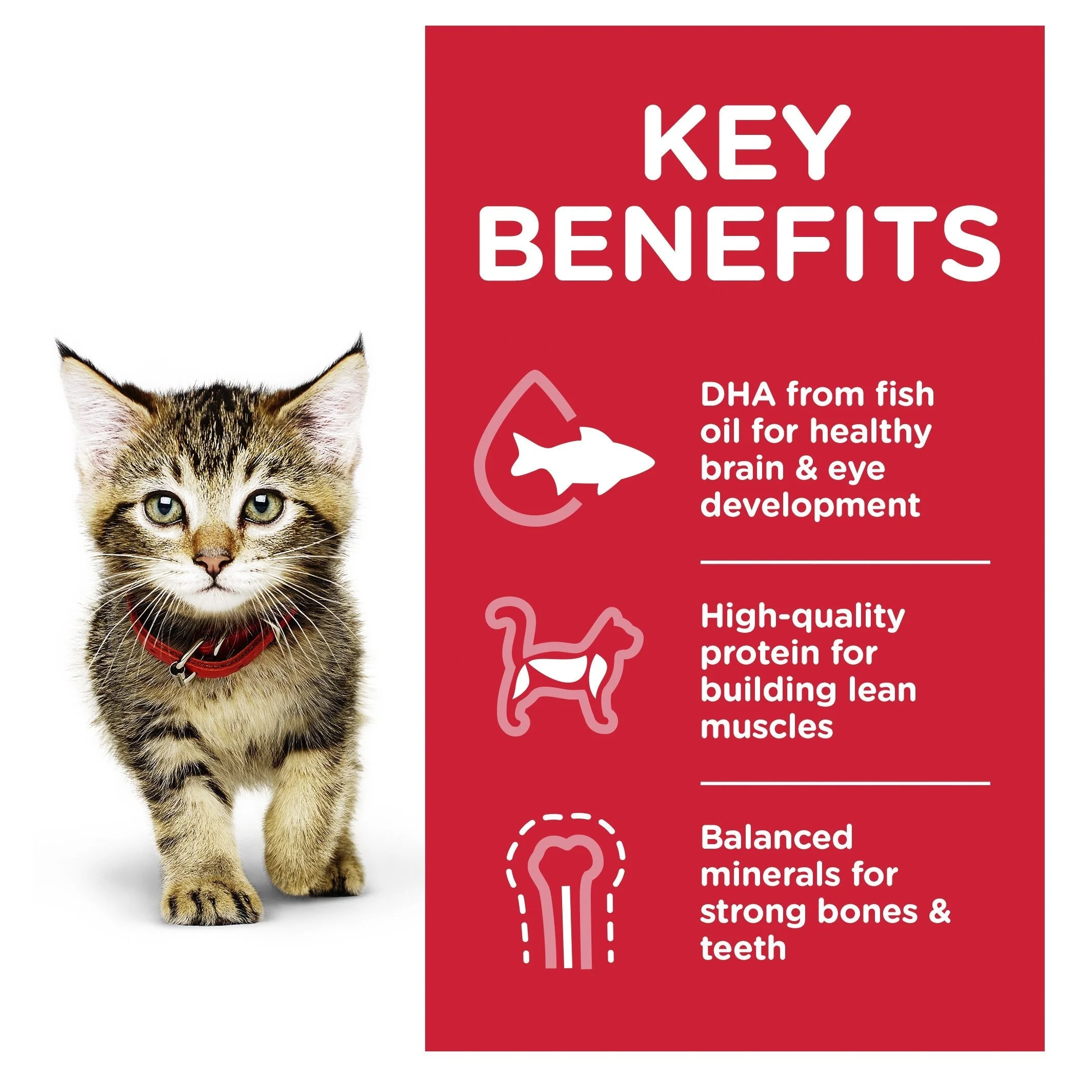 Hills Science Diet Kitten Healthy Development Chicken Cat Food Pouches 85g - Image 4