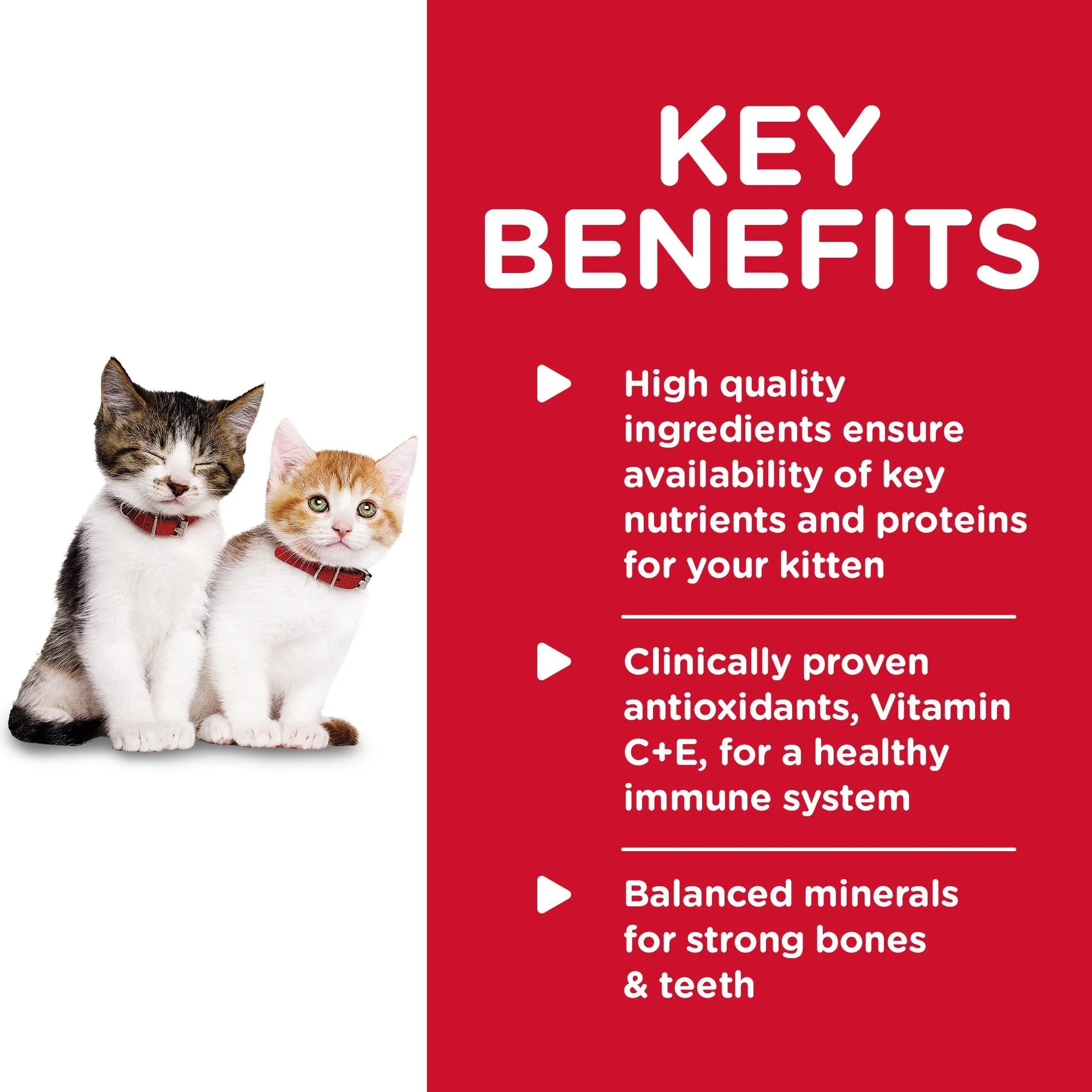 Hills Science Diet Kitten Healthy Cuisine Chicken and Rice Medley Canned Cat Food 79g - Image 3