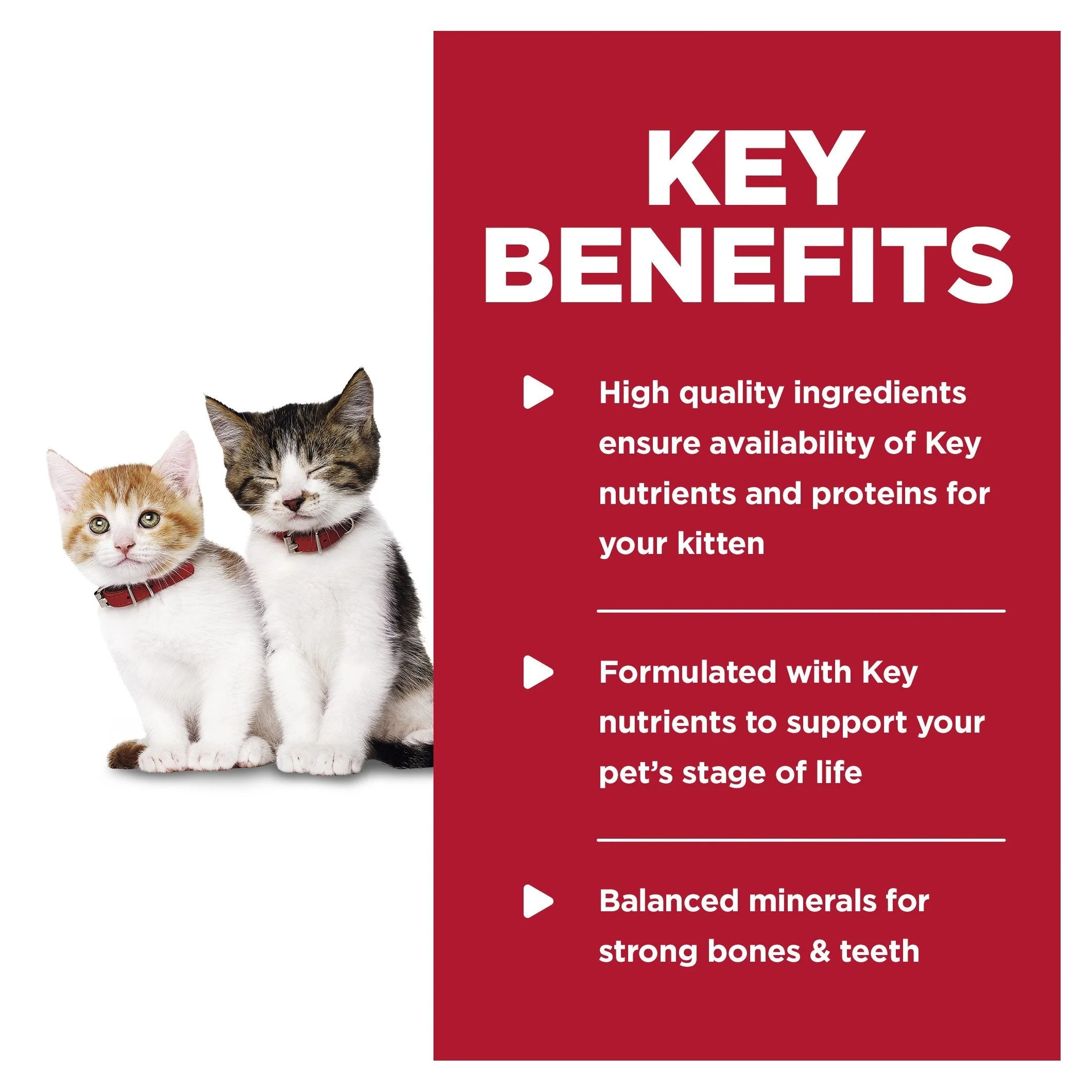 Hills Science Diet Kitten Tender Dinners Chicken Canned Cat Food 156g - Image 3