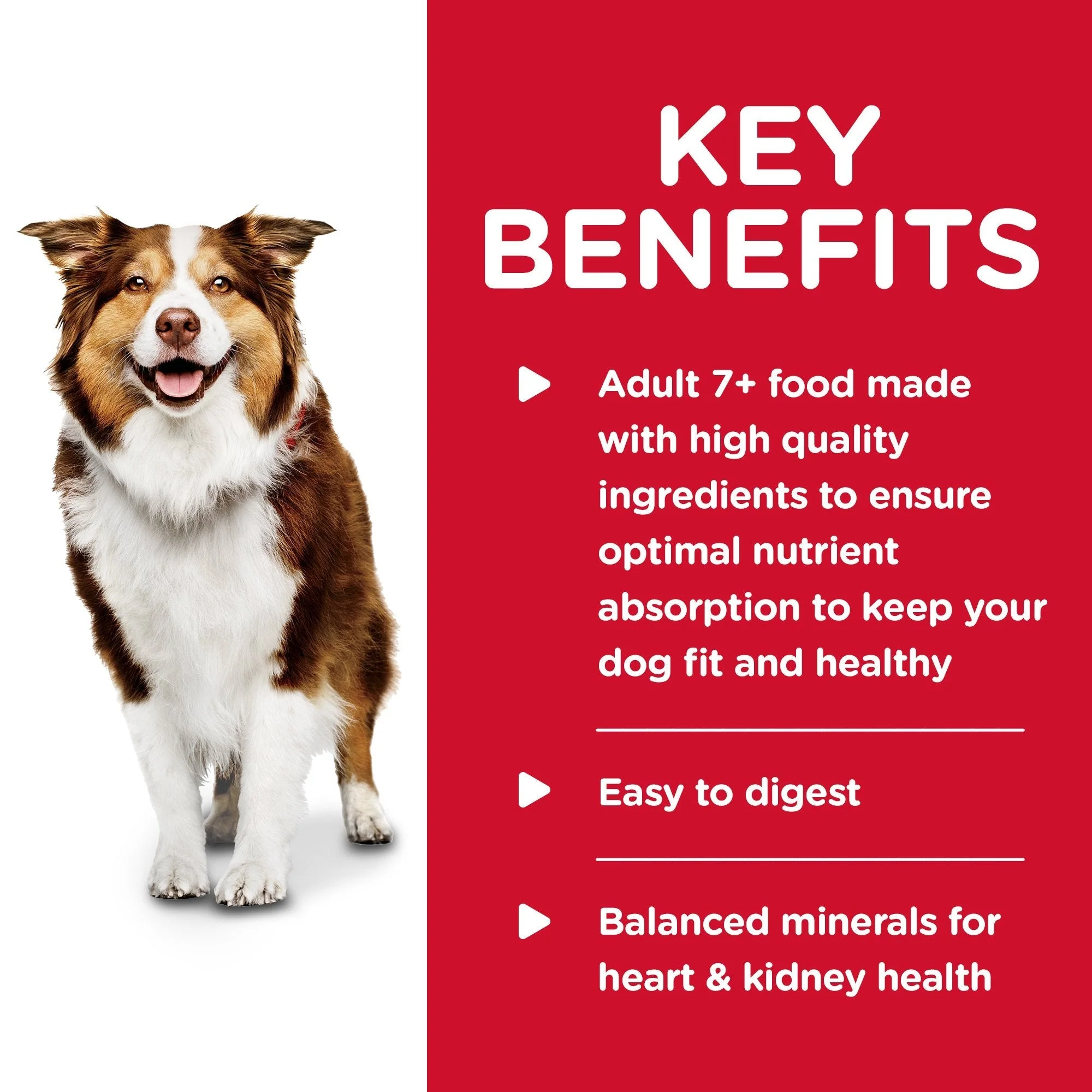 Hills Science Diet Adult 7+ Savoury Stew Beef and Vegetables Canned Dog Food 363g - Image 3
