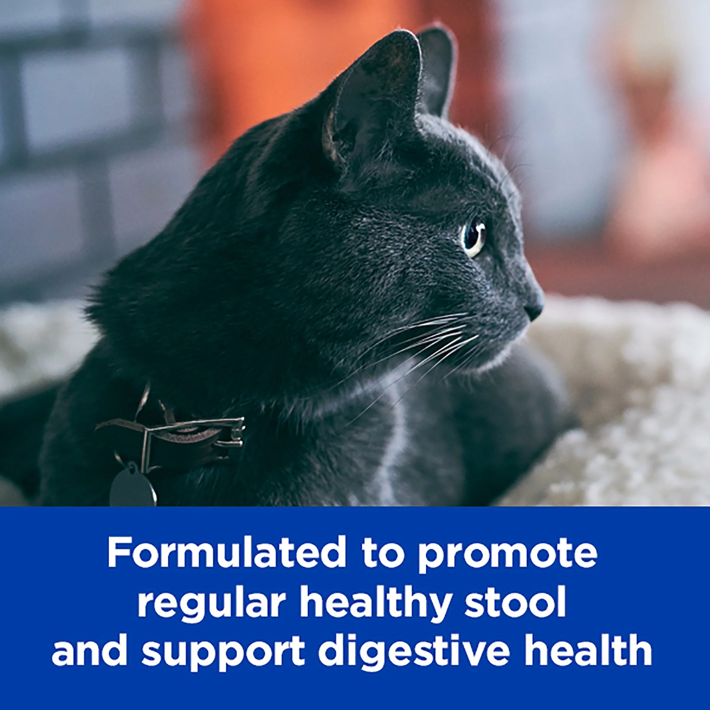 Hills Prescription Diet Cat Gastrointestinal Biome Dry Food 1.8kg - Image 7