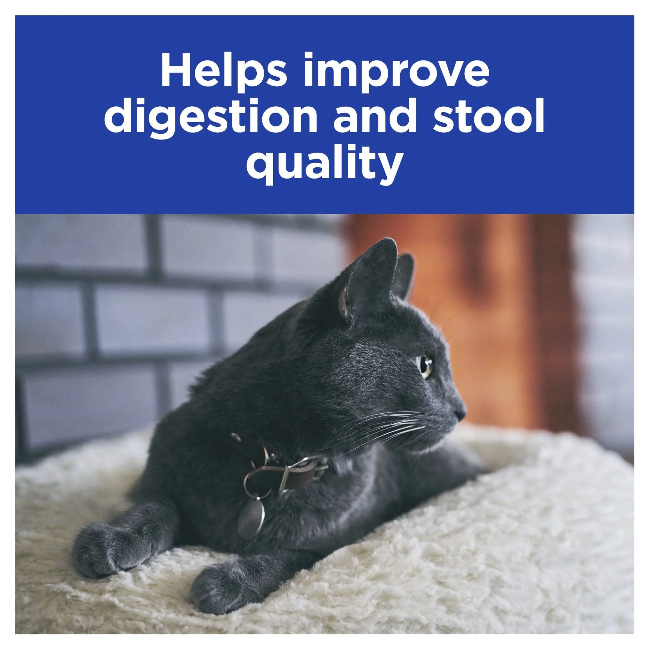 Hills Prescription Diet Cat i/d Digestive Care Chicken Wet Food Pouch 85g - Image 4