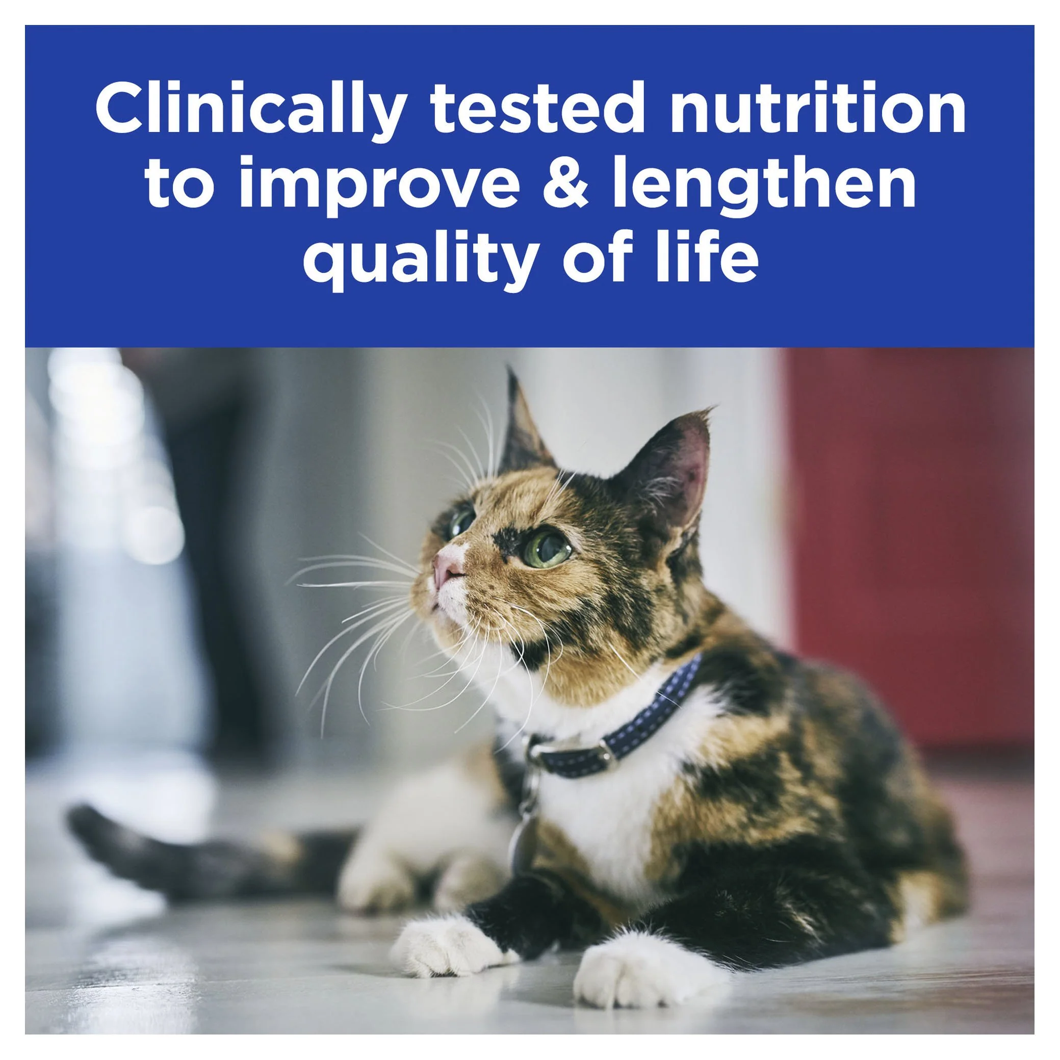 Hills Prescription Diet Cat k/d Kidney Care Pate with Tuna Wet Food 156g x 24 - Image 5