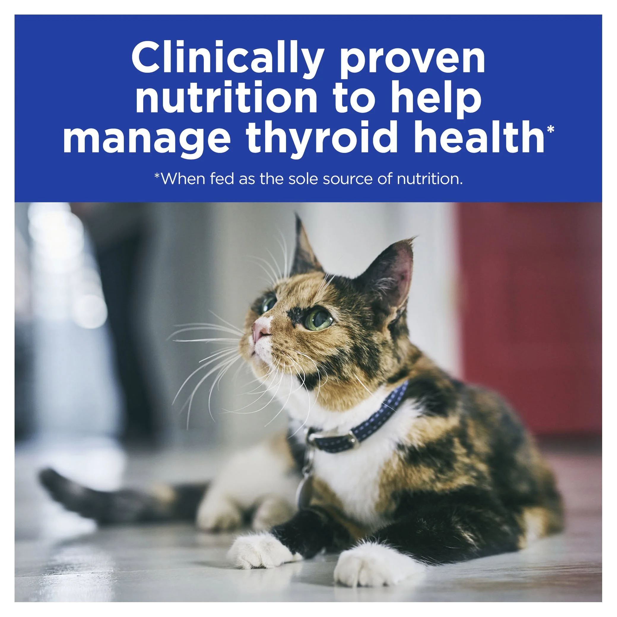 Hills Prescription Diet Cat y/d Thyroid Care Chicken Wet Food 156g x 24 - Image 5