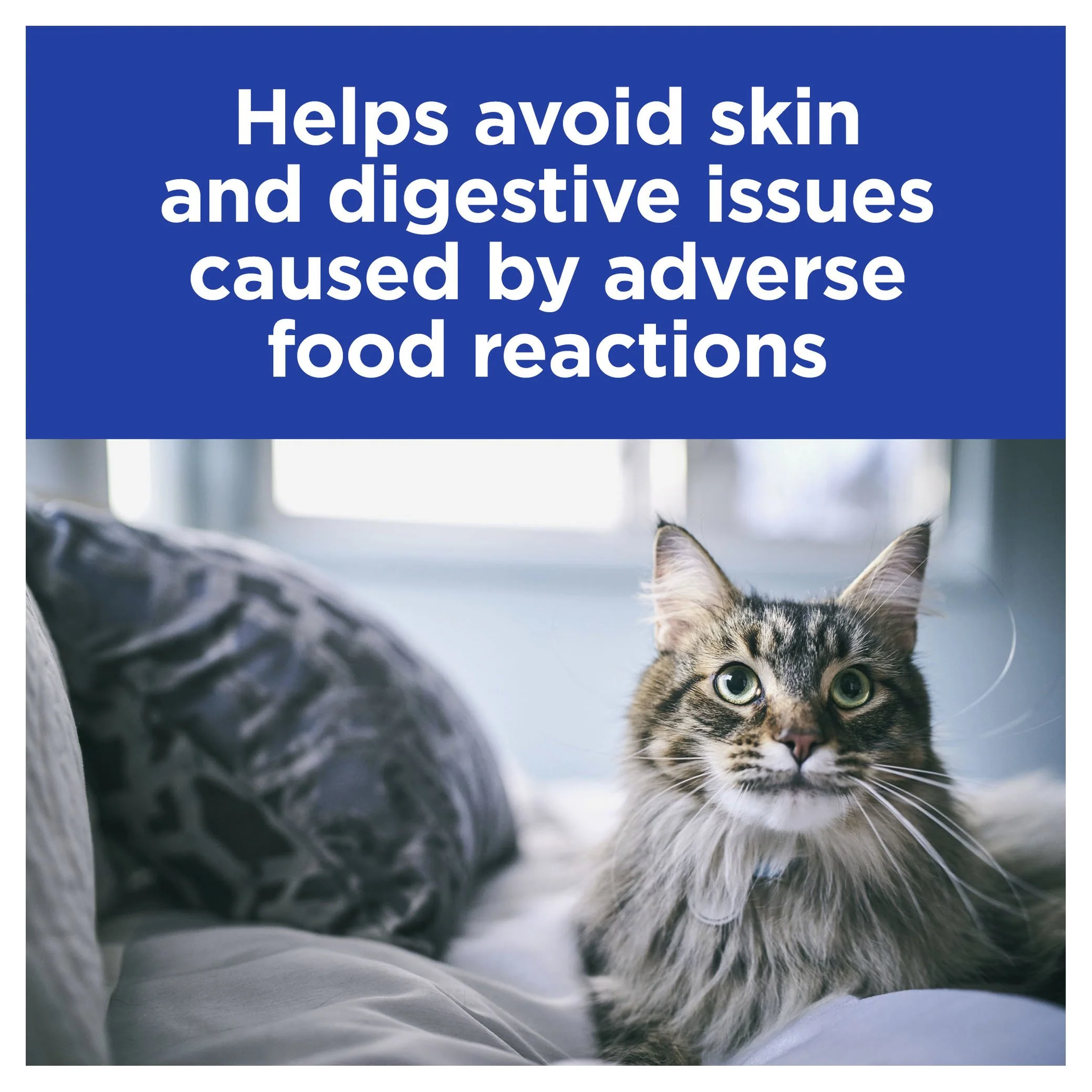 Hills Prescription Diet Cat z/d Skin/Food Sensitivities Original Wet Food 156g x 24 - Image 5
