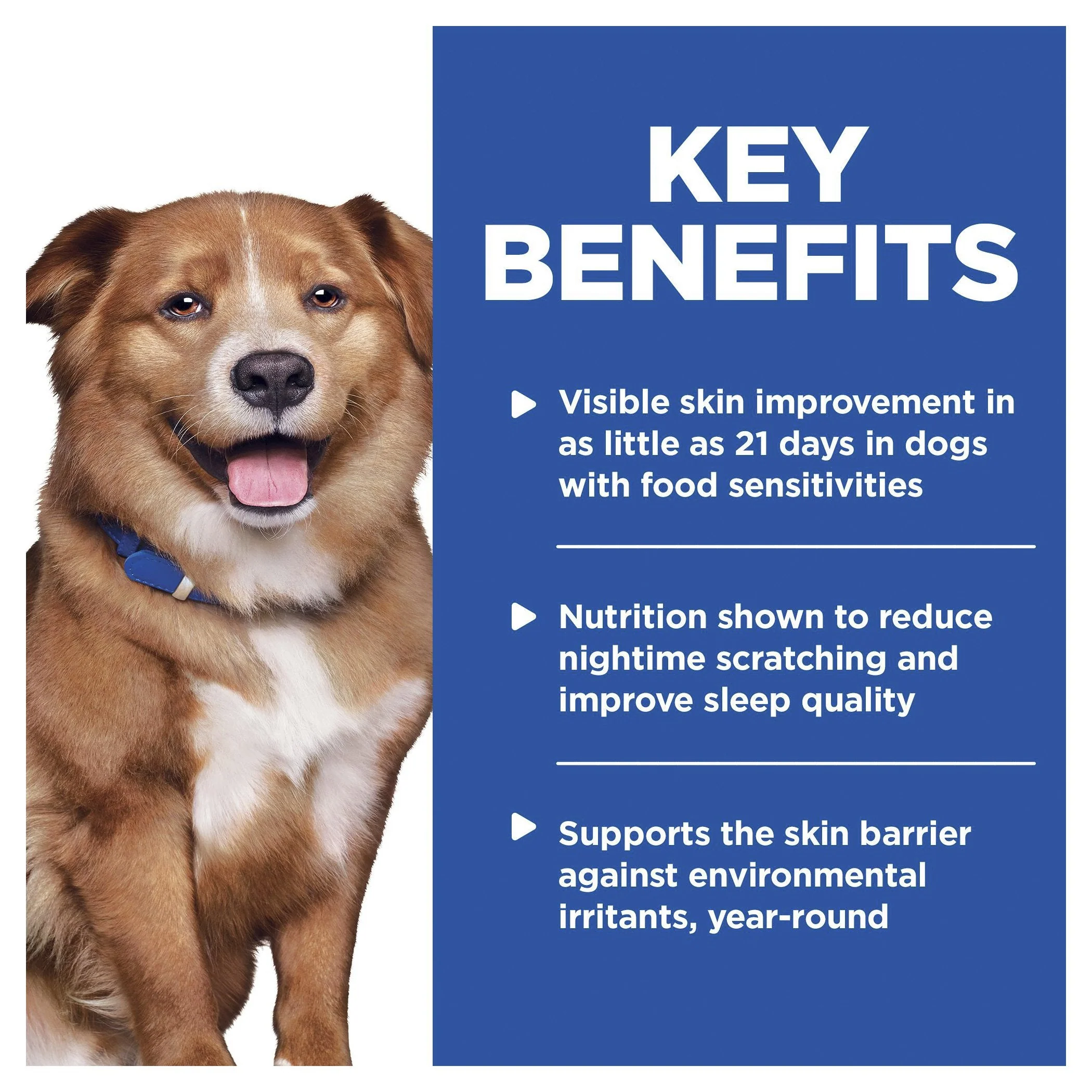 Hills Prescription Diet Dog Derm Complete Dry Food 10.8kg - Image 3