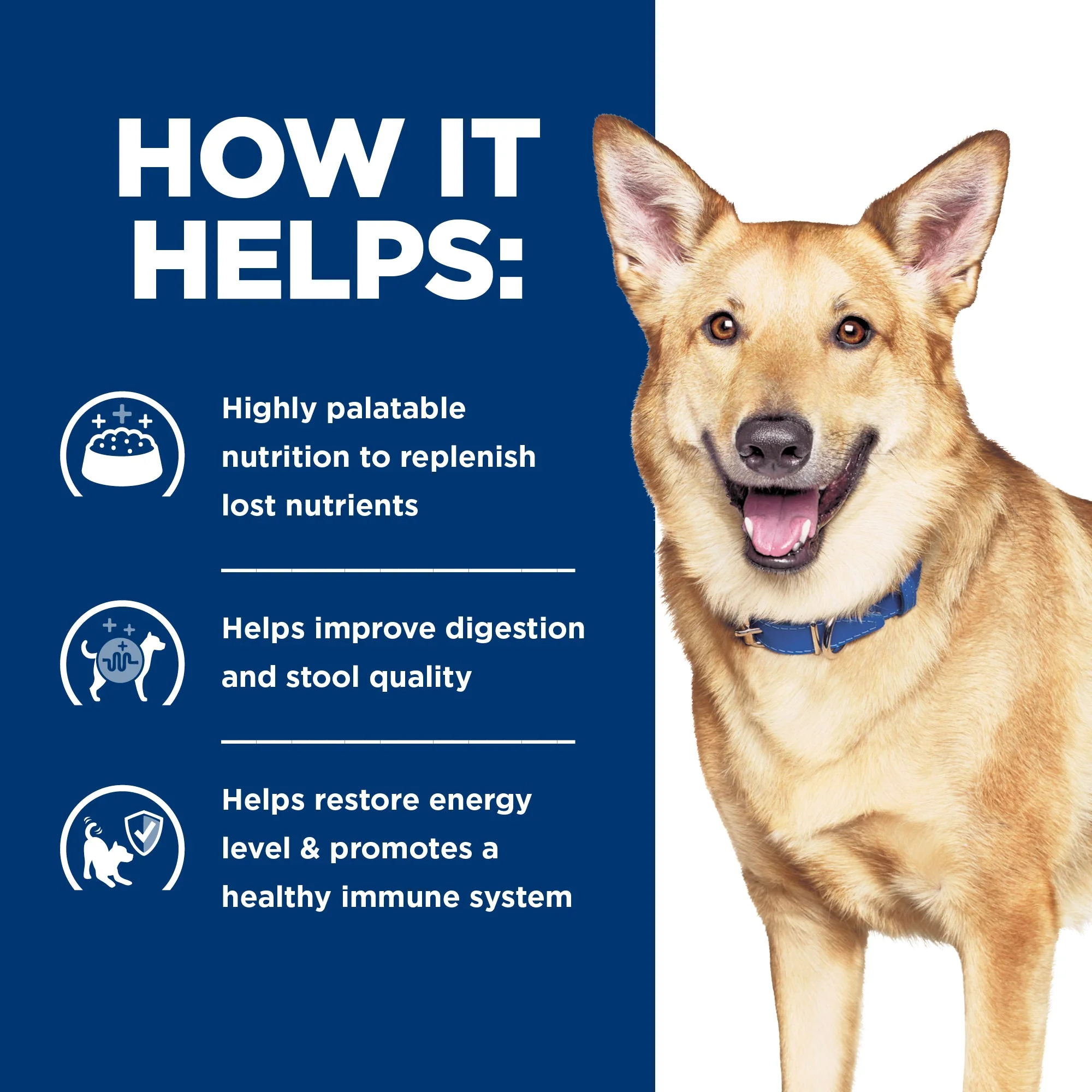 Hills Prescription Diet Dog i/d Digestive Care Chicken and Vegetable Stew Wet Food 156g - Image 4