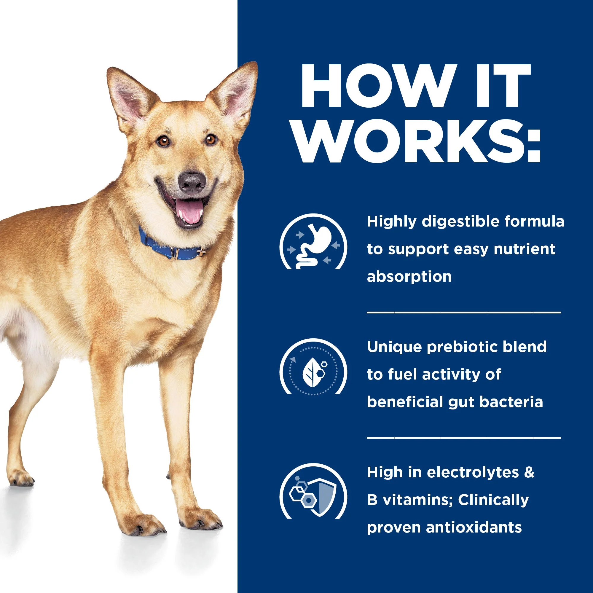 Hills Prescription Diet Dog i/d Digestive Care Dry Food 3.85kg - Image 4