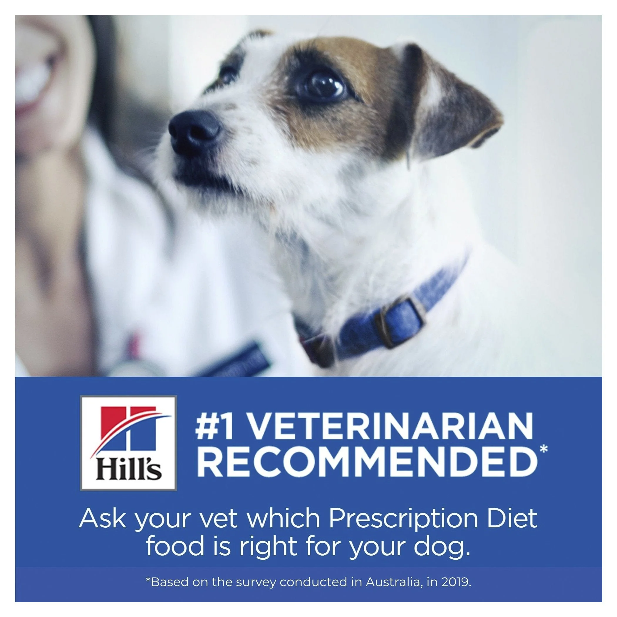 Hills Prescription Diet Dog i/d Low Fat Digestive Care Dry Food 7.98kg - Image 9