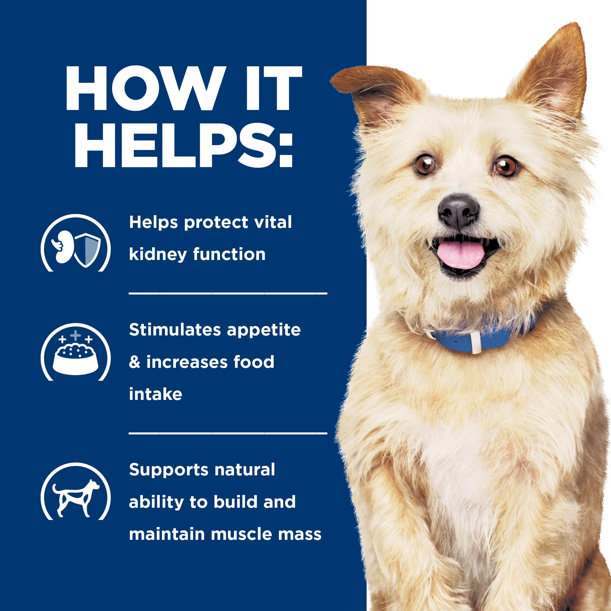 Hills Prescription Diet Dog k/d Kidney Care Dry Food 3.85kg - Image 5