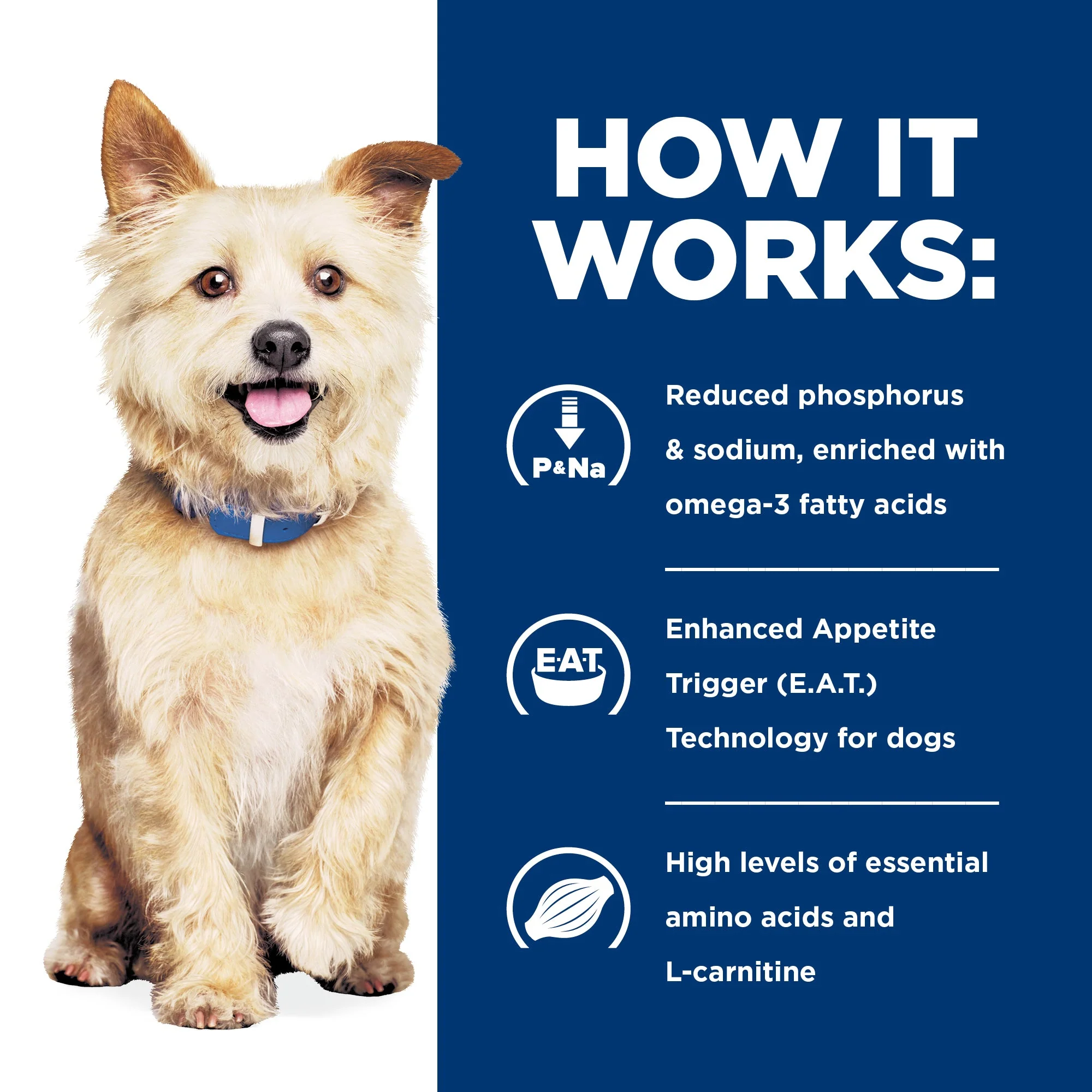 Hills Prescription Diet Dog k/d Kidney Care Dry Food 7.98kg - Image 4