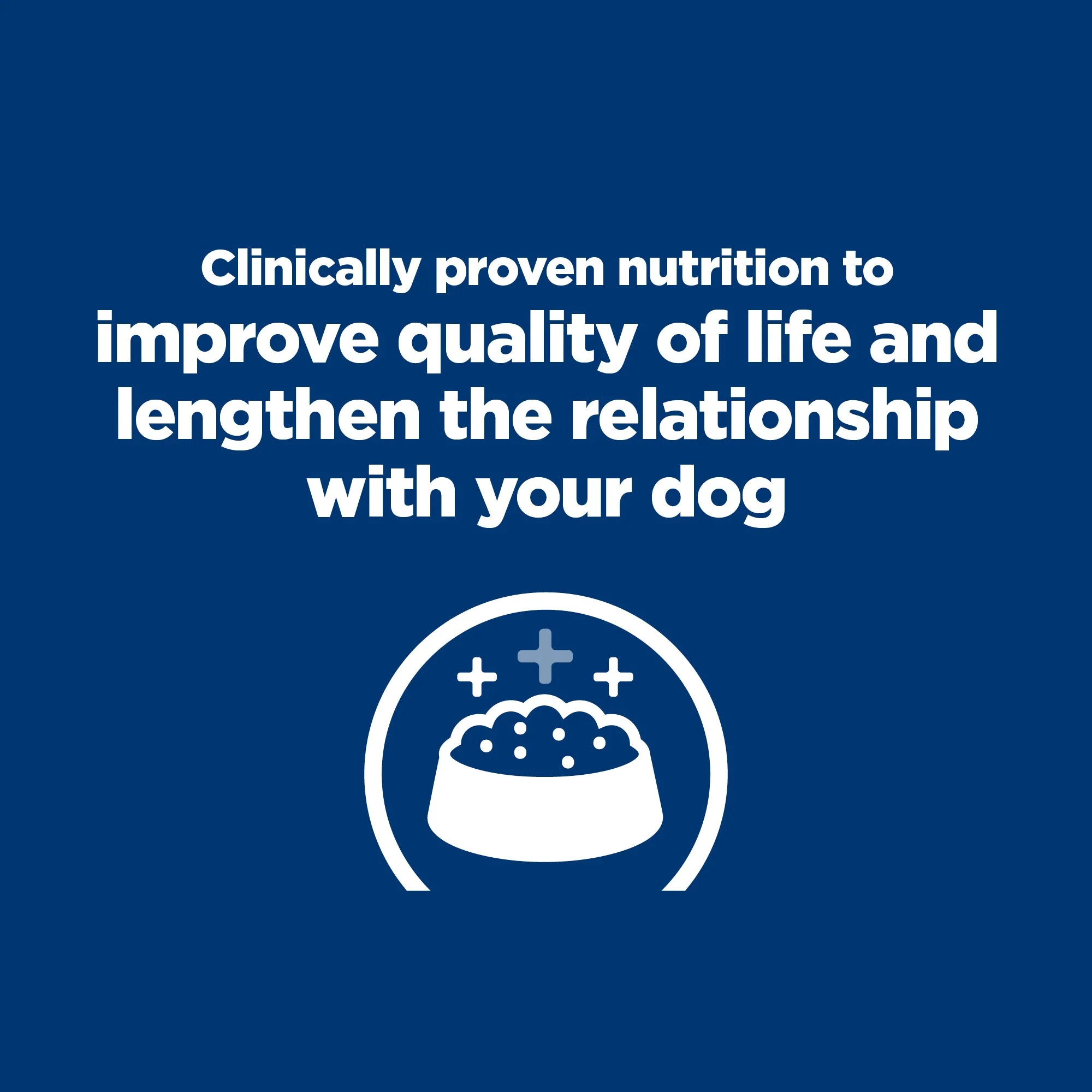 Hills Prescription Diet Dog k/d Kidney Care Dry Food 7.98kg - Image 6