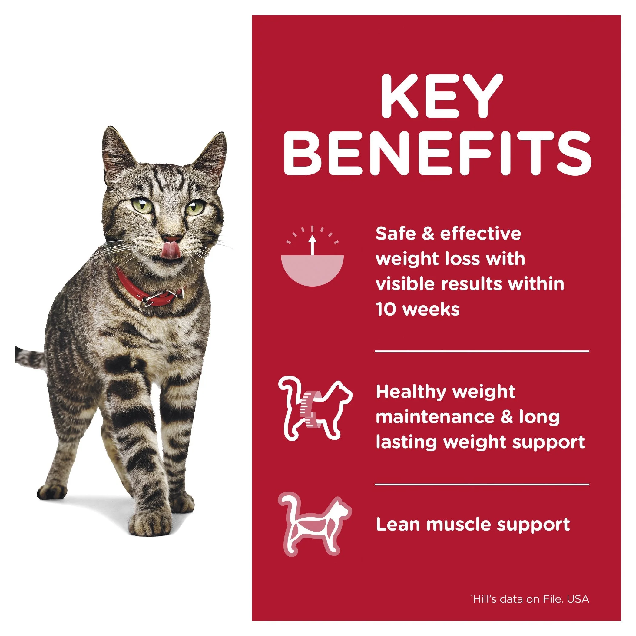 Hills Science Diet Adult Perfect Weight Salmon Cat Food Pouches 85g x 12 - Image 4