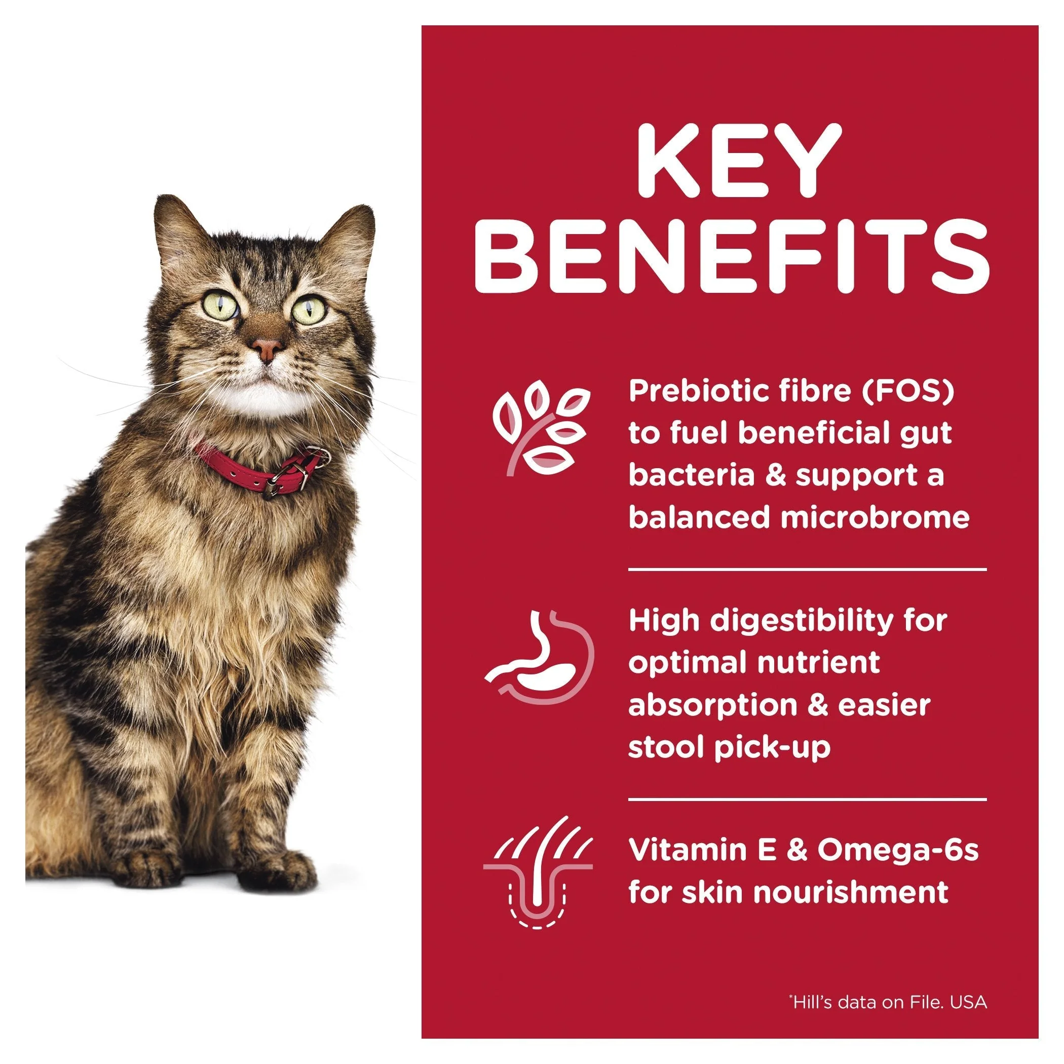 Hills Science Diet Sensitive Stomach and Skin Chicken and Rice Dry Cat Food 7.03kg - Image 3