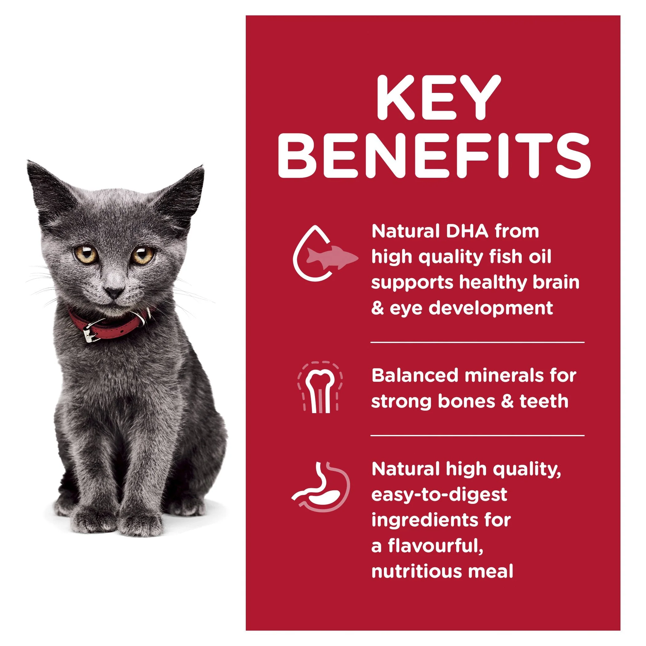 Hills Science Diet Indoor Kitten Dry Cat Food 1.58kg - Image 3