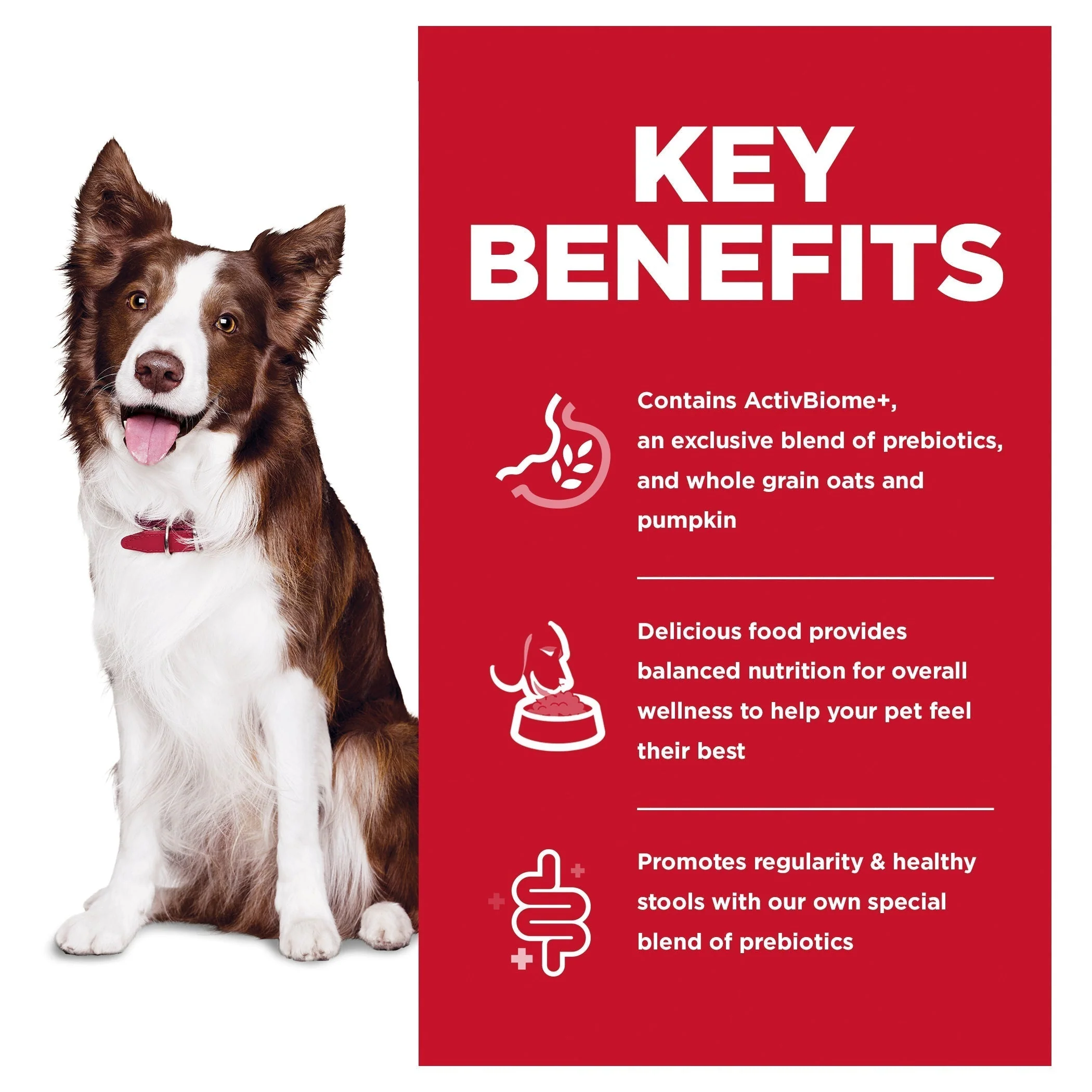 Hills Science Diet Perfect Digestion Dry Dog Food 1.59kg - Image 3