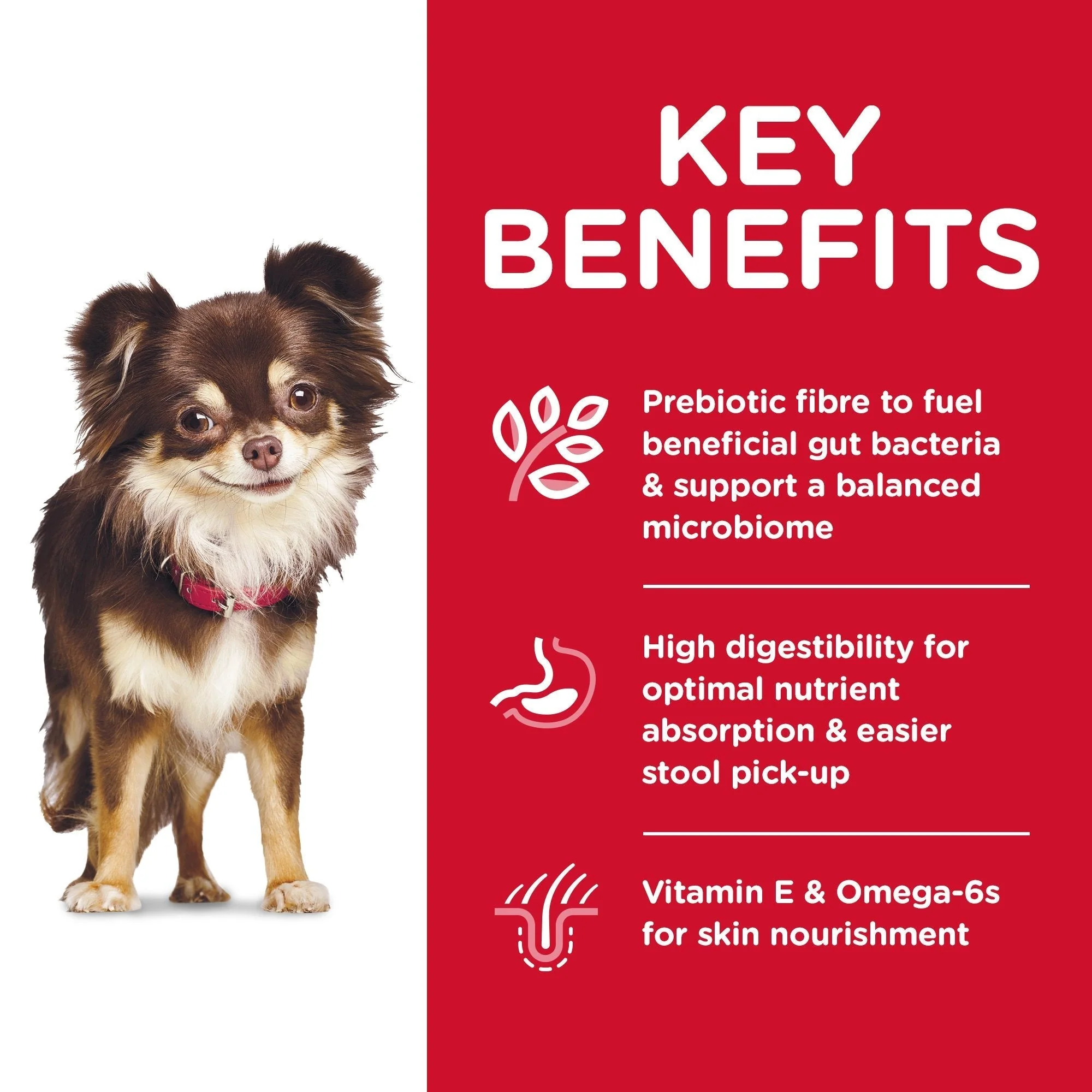 Hills Science Diet Sensitive Stomach and Skin Adult Small and Mini Dry Dog Food 1.81kg - Image 3